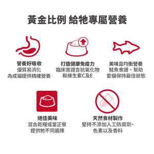 希爾思寵物食品 成貓 健康美饌 主食罐 鮭魚 [六入/盒]