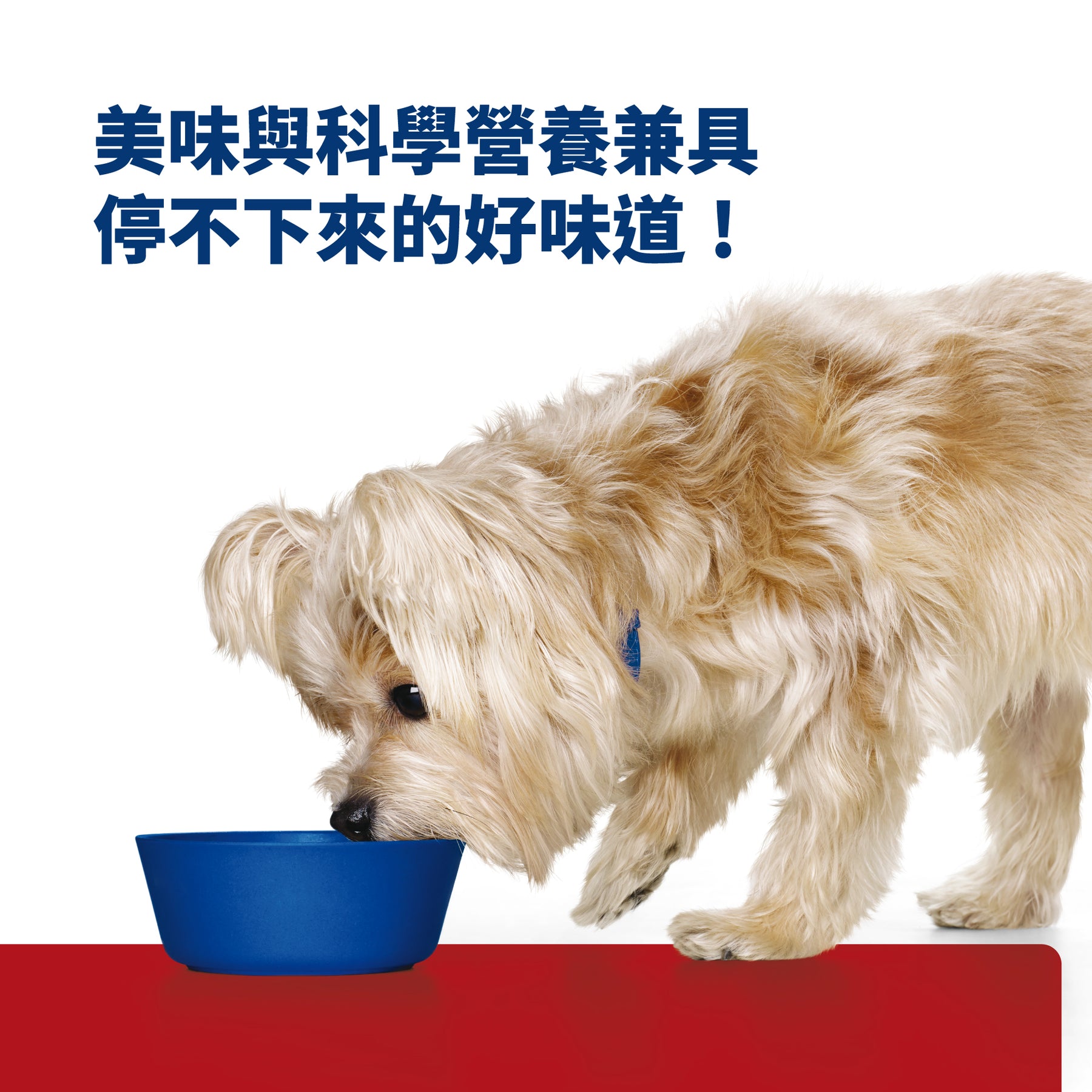 希爾思處方食品 犬用 Multi-Organ 多重照護