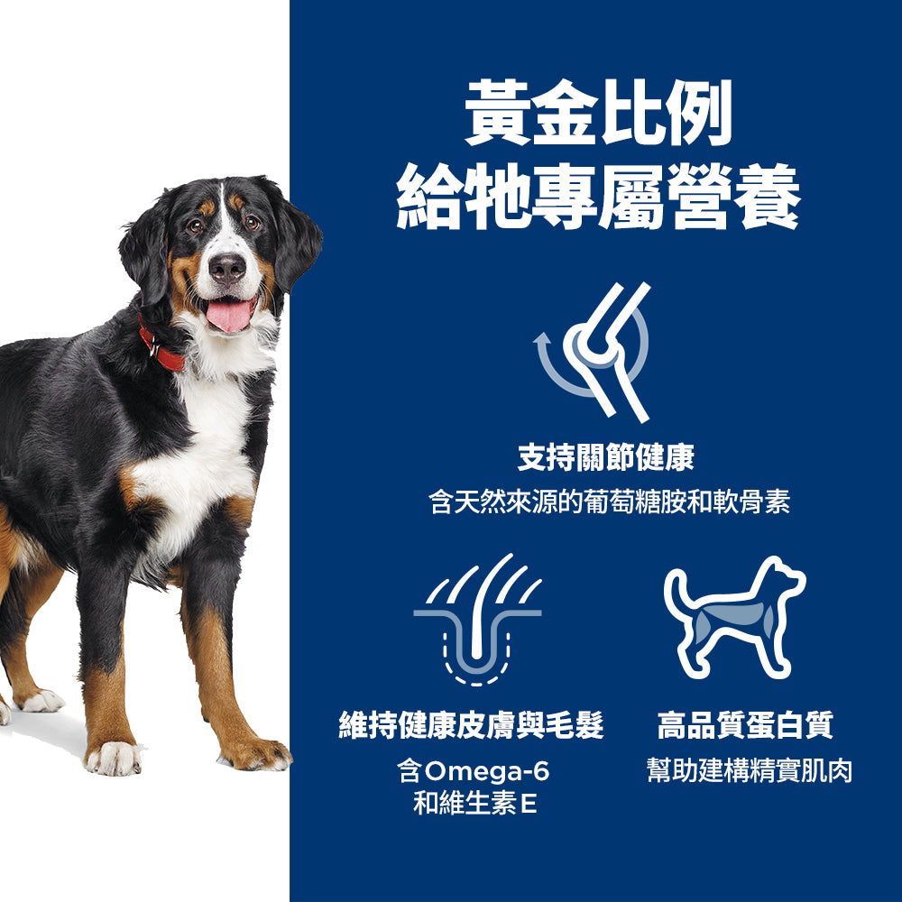 希爾思寵物食品 大型成犬