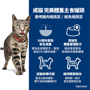 希爾思寵物食品 成貓 完美體重 主食罐 鮭魚 [六入/盒]