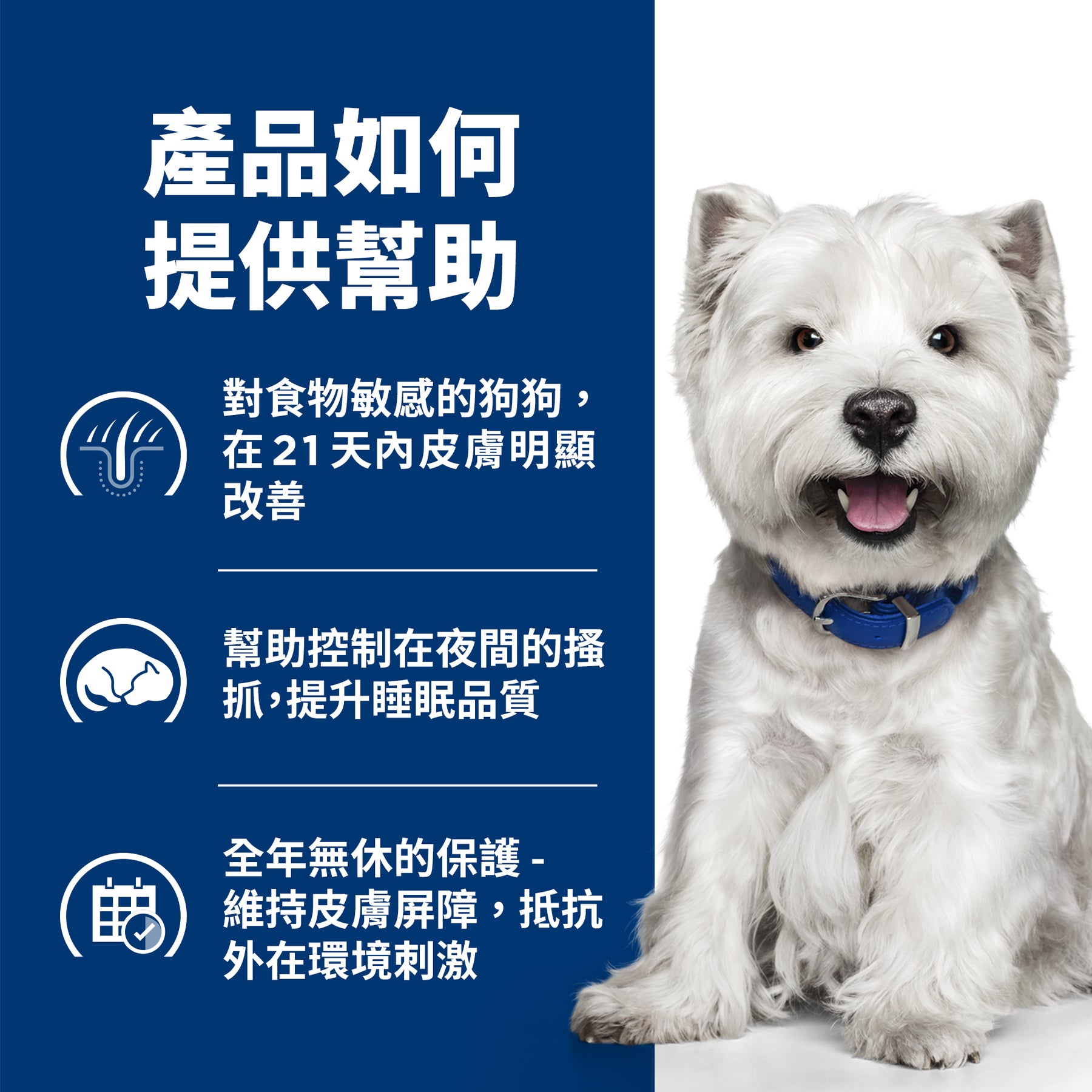希爾思處方食品 犬用 Derm Complete皮膚全能照護 小顆粒