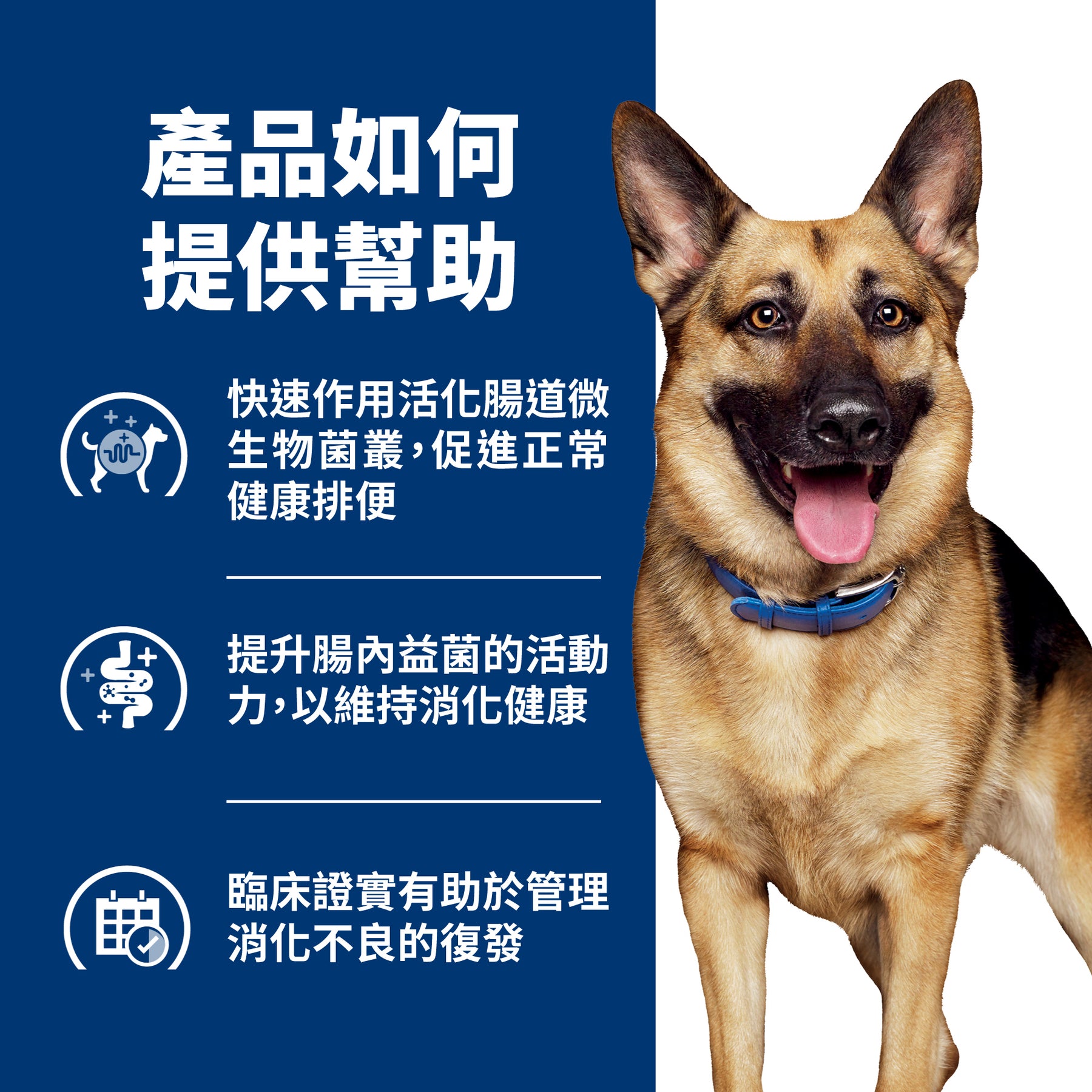 希爾思處方食品 犬用 GI Biome 健康腸菌叢 原顆粒