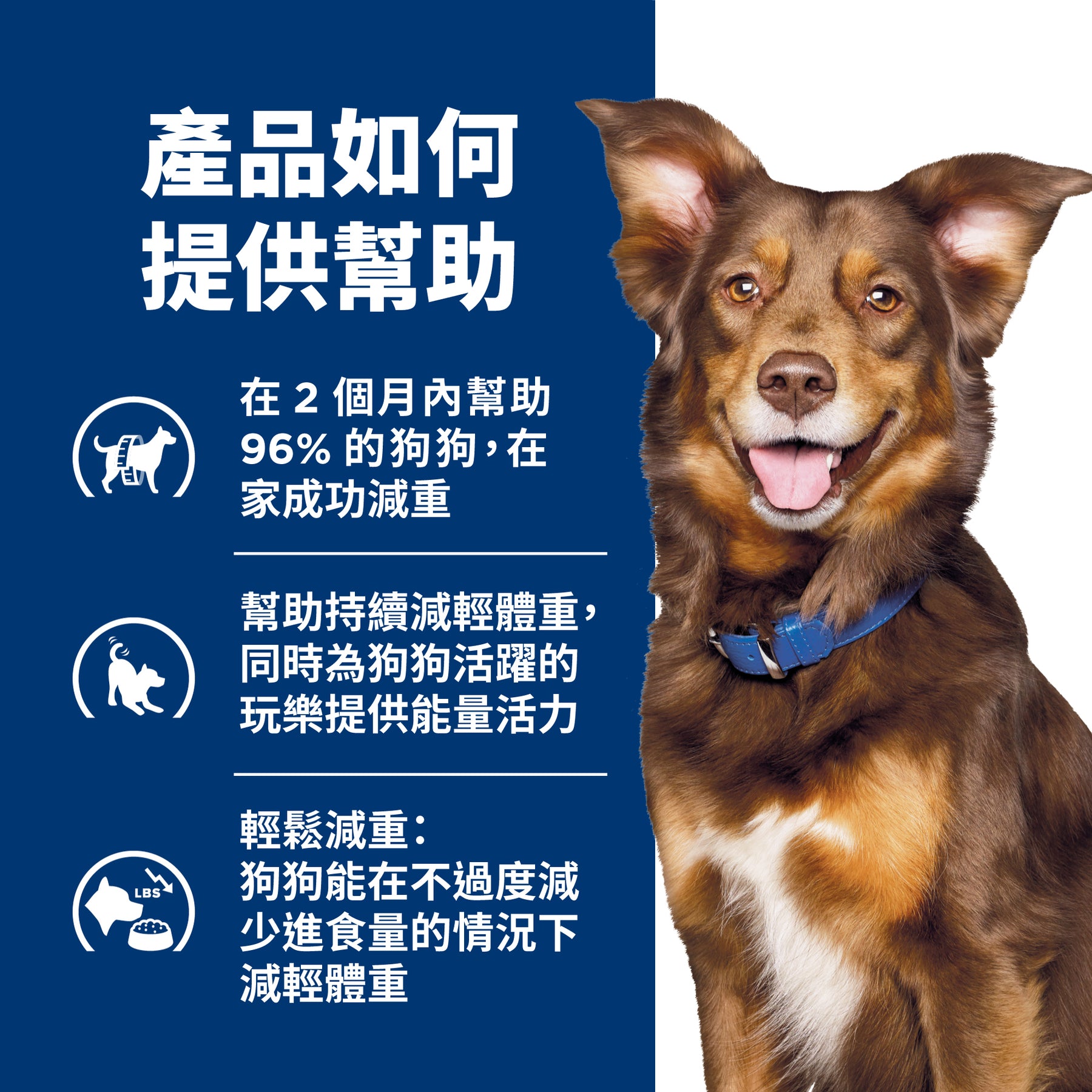 希爾思處方食品 犬用 Metabolic體重管理