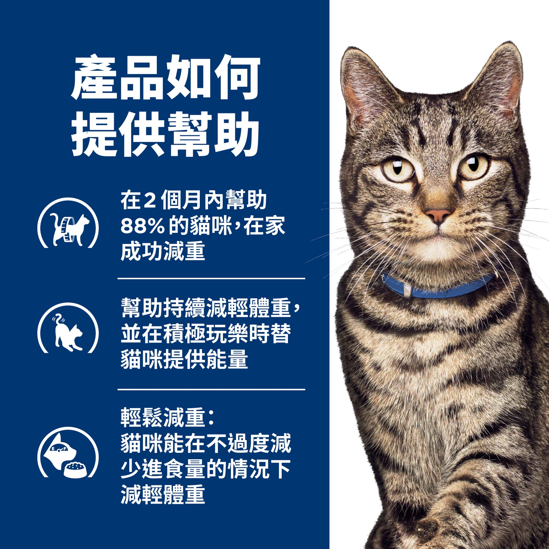 希爾思處方食品 貓用 Metabolic體重管理