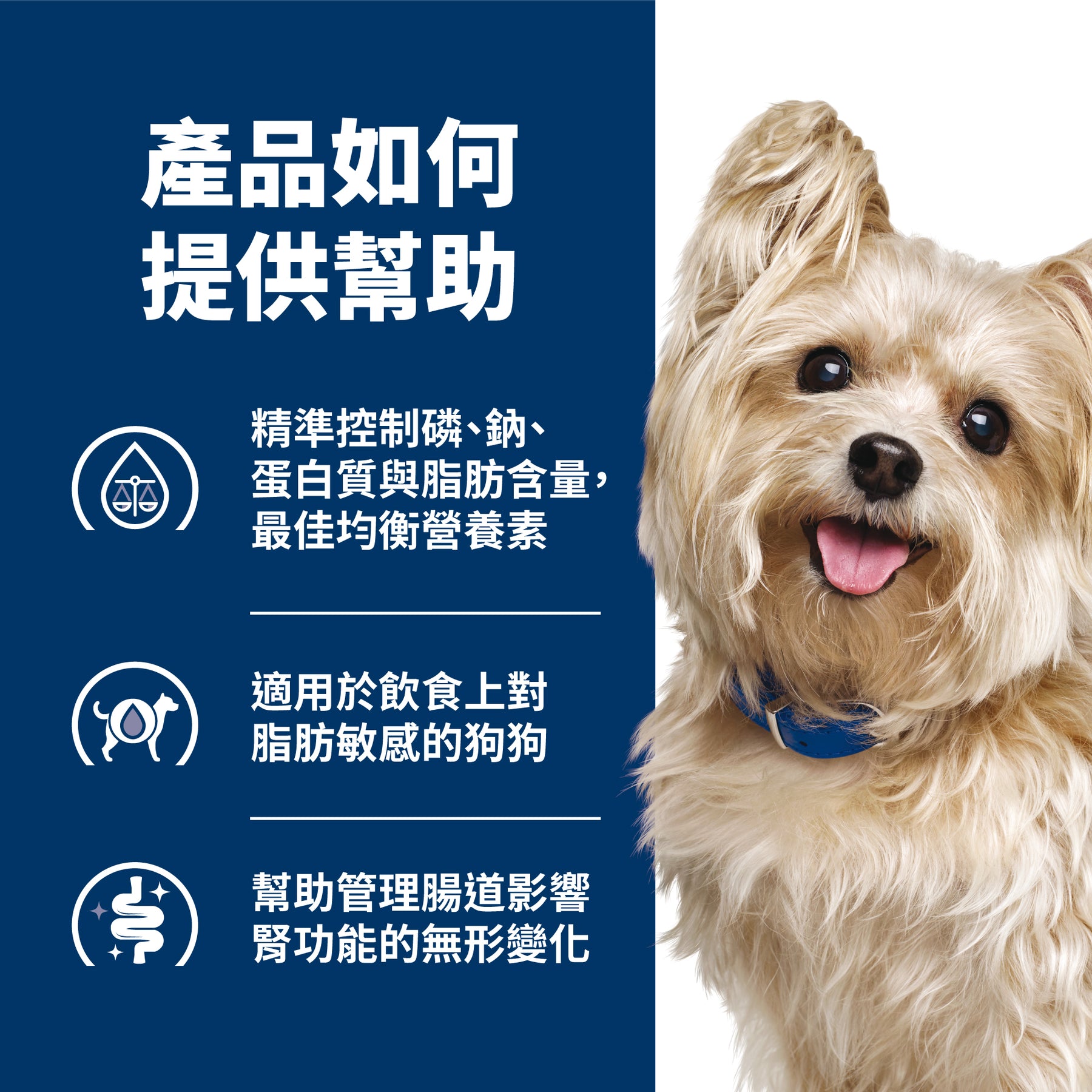 希爾思處方食品 犬用 Multi-Organ 多重照護