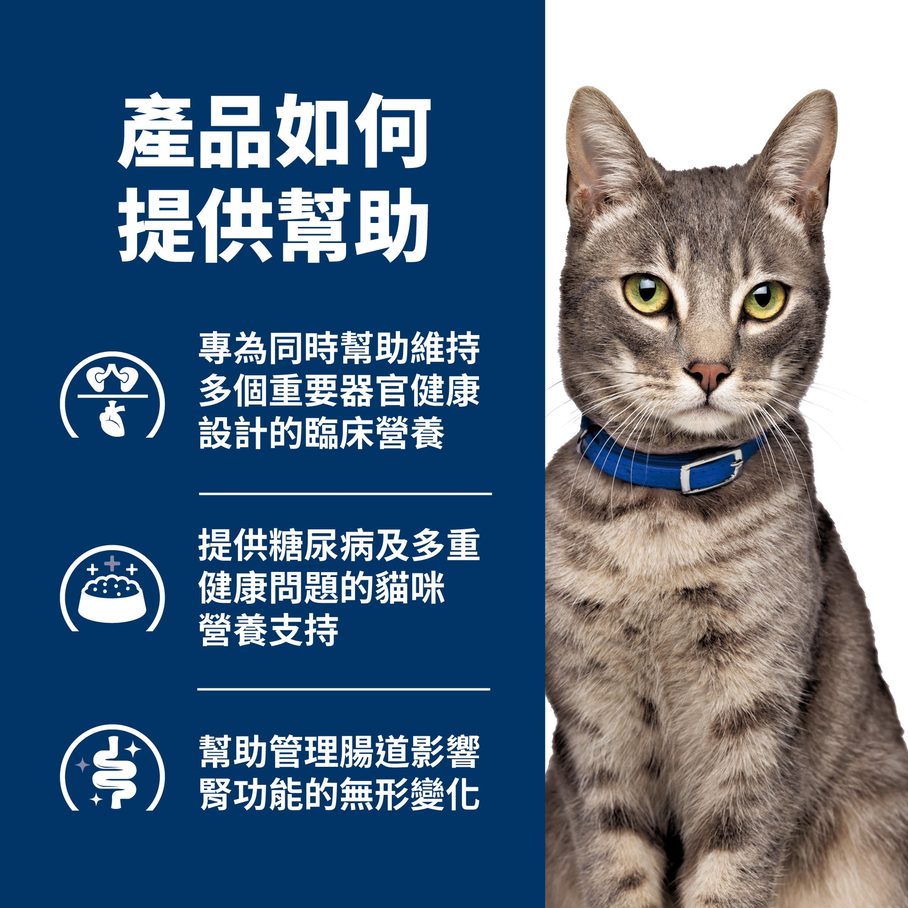 希爾思處方食品 貓用 Multi-Organ 多重照護