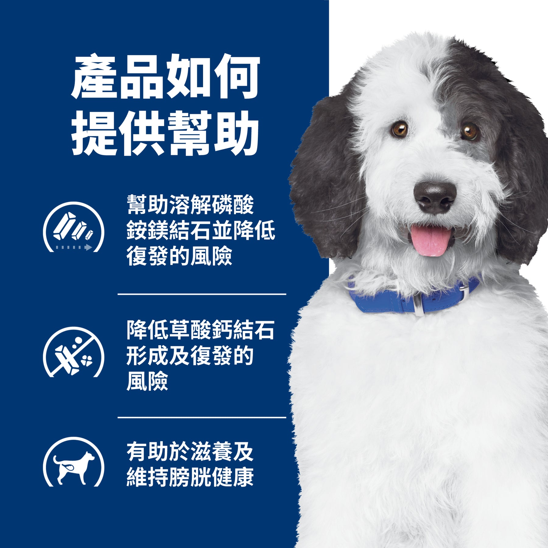 希爾思處方食品 犬用 c/d 全效 雞肉燉蔬菜罐頭 [六入/盒]