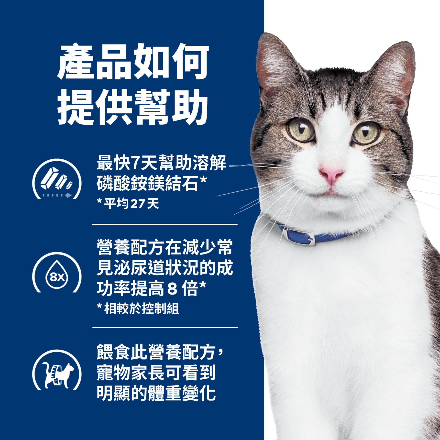 希爾思處方食品 貓用 c/d 全效+體重管理