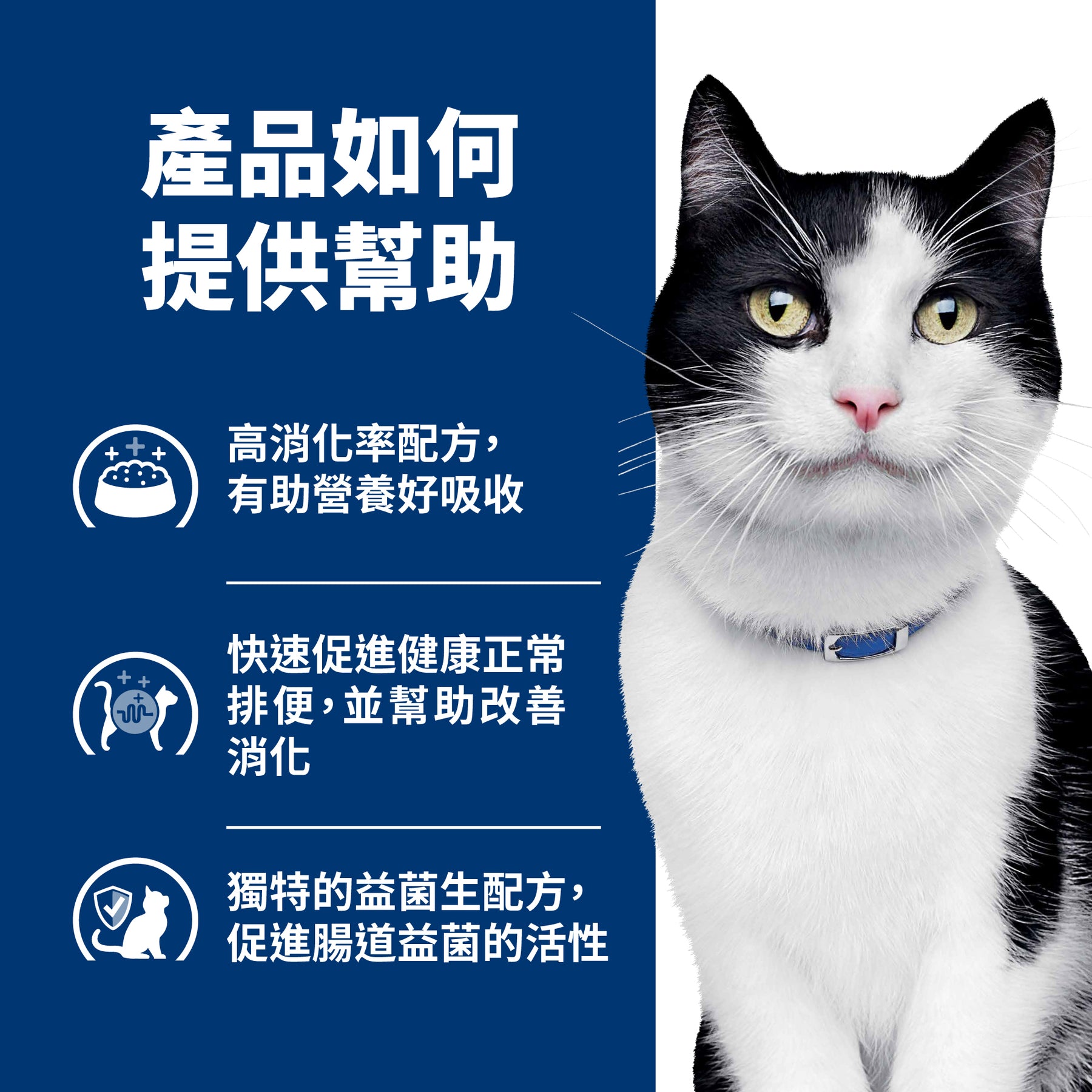 希爾思處方食品 貓用 i/d 雞肉燉蔬菜罐頭 [六入/盒]