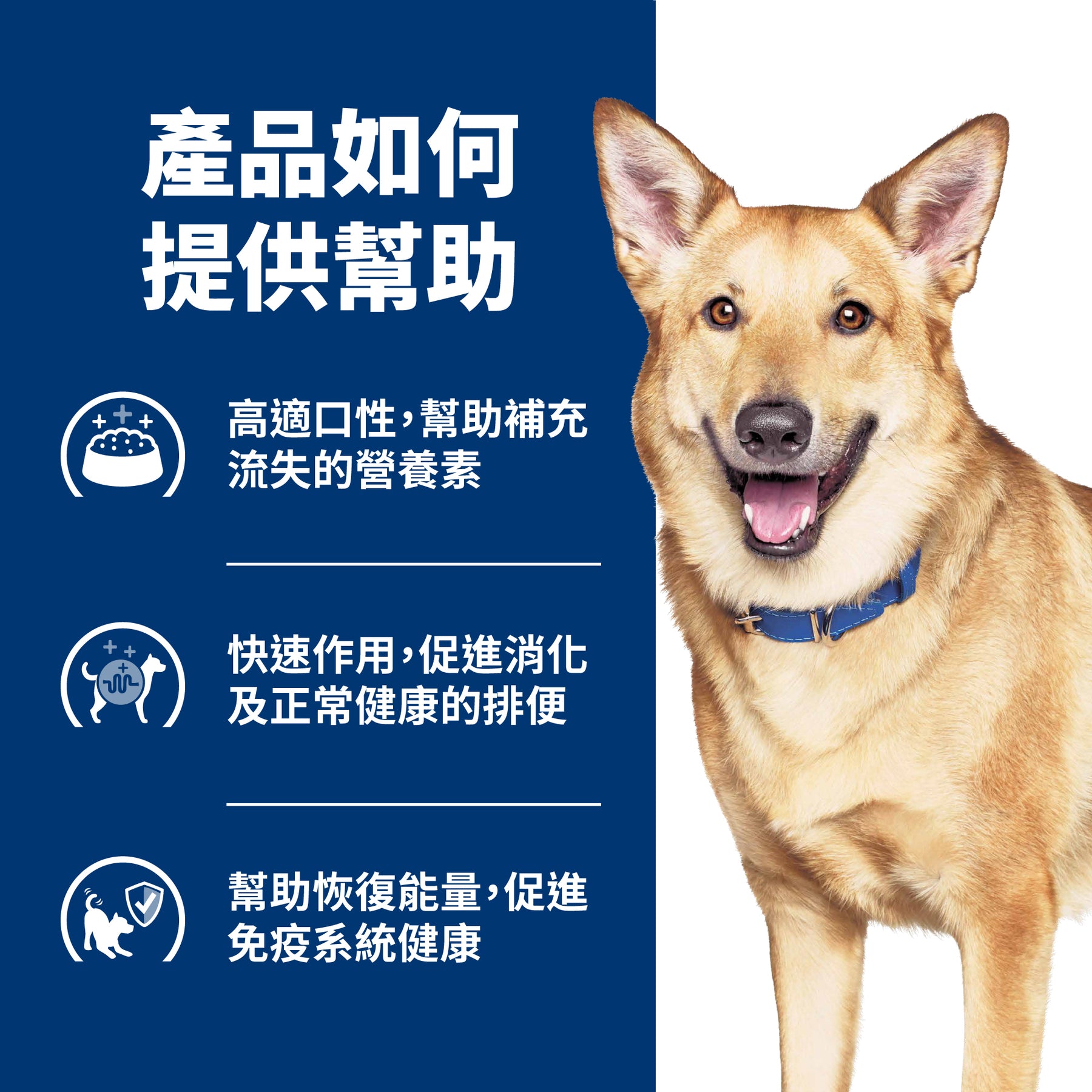 希爾思處方食品 犬用 i/d 原顆粒