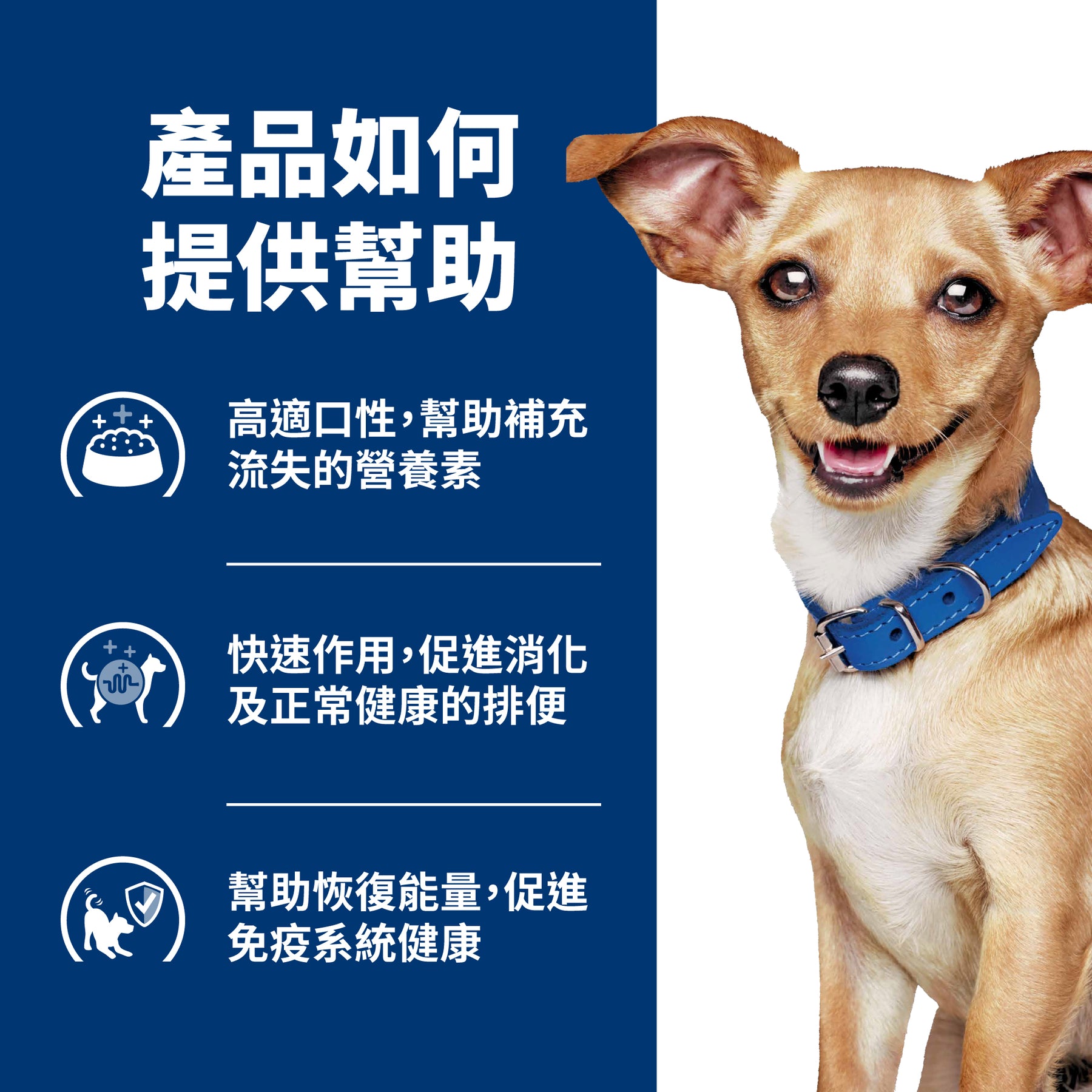 希爾思處方食品 犬用 i/d 小顆粒