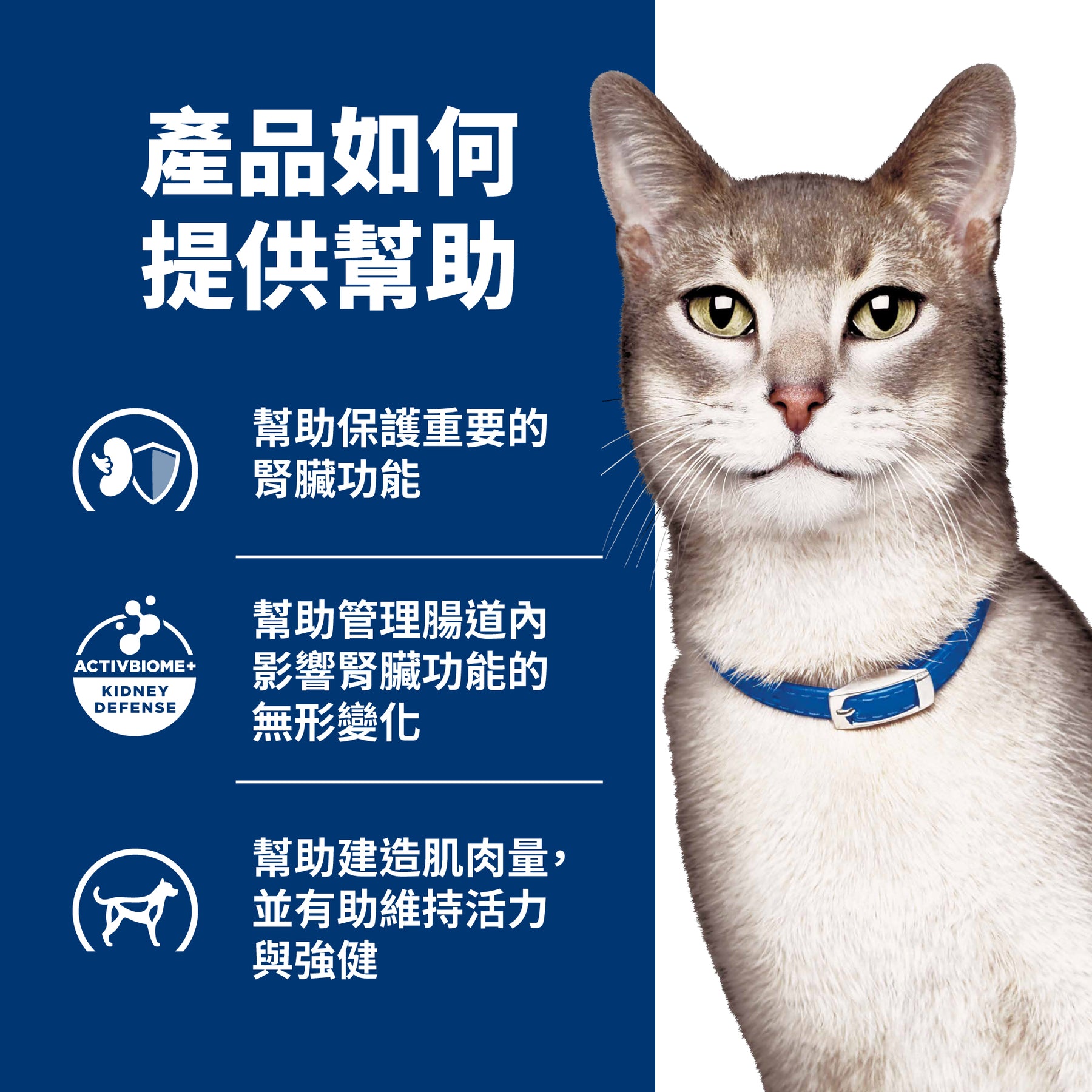 希爾思處方食品 貓用 k/d 鮪魚燉蔬菜罐頭 [六入/盒]