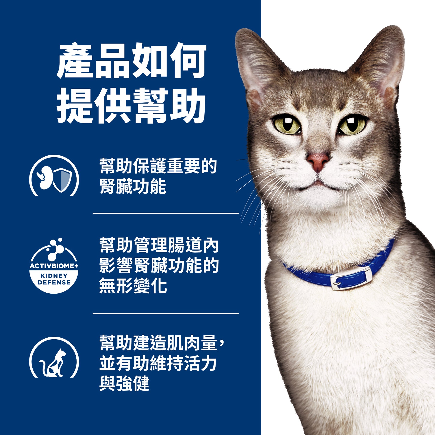 希爾思處方食品 貓用 k/d 雞肉罐頭 [六入/盒]