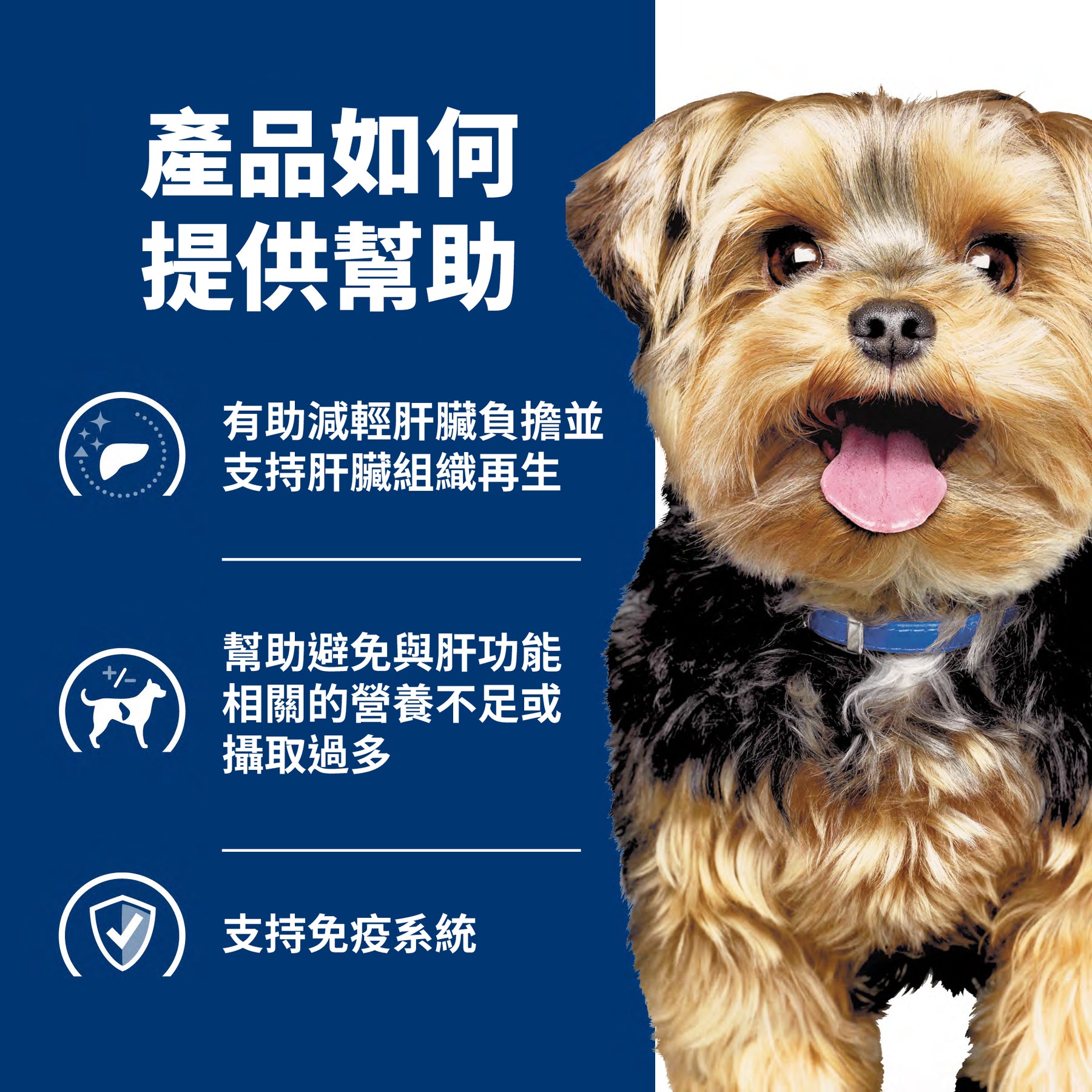 希爾思處方食品 犬用 l/d