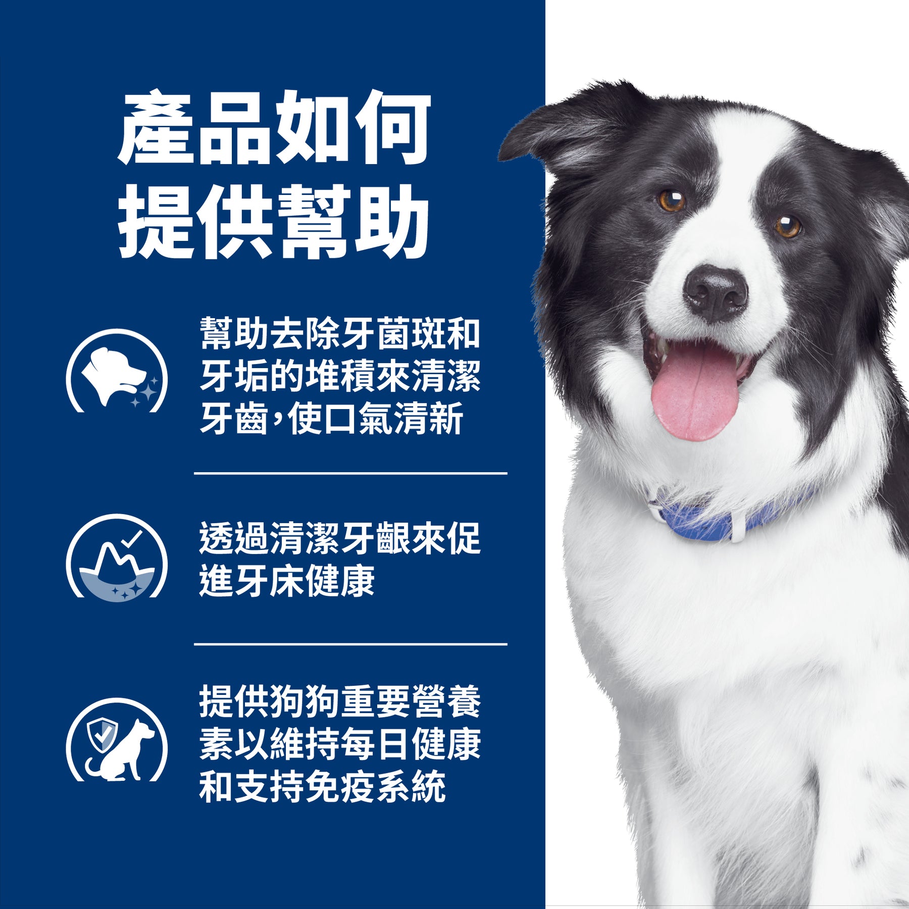 希爾思處方食品 犬用 t/d 原顆粒