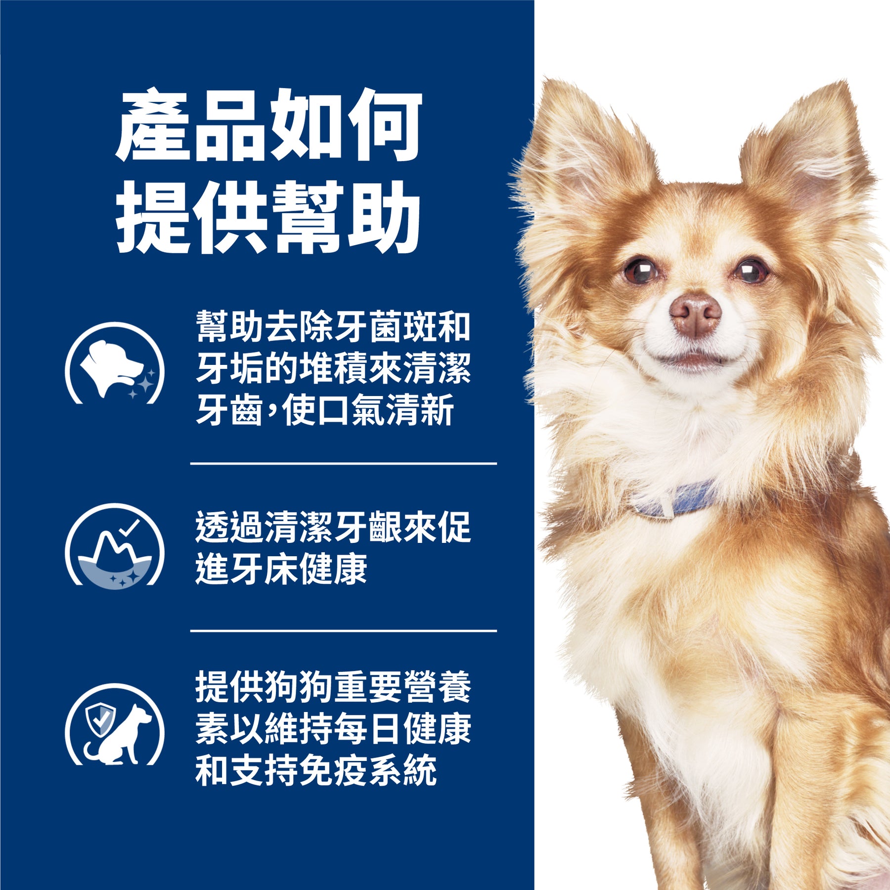 希爾思處方食品 犬用 t/d 小顆粒