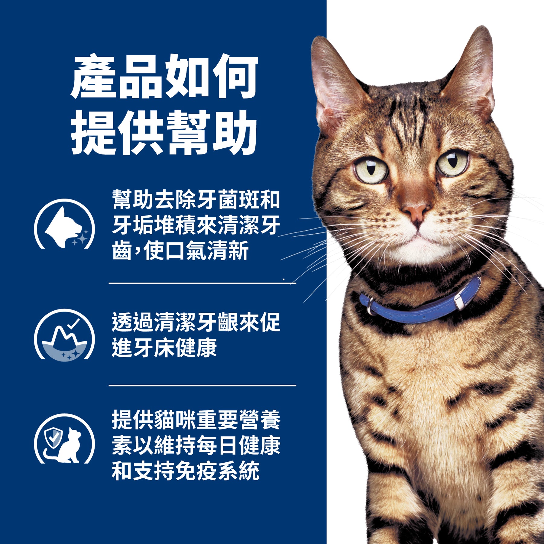希爾思處方食品 貓用 t/d