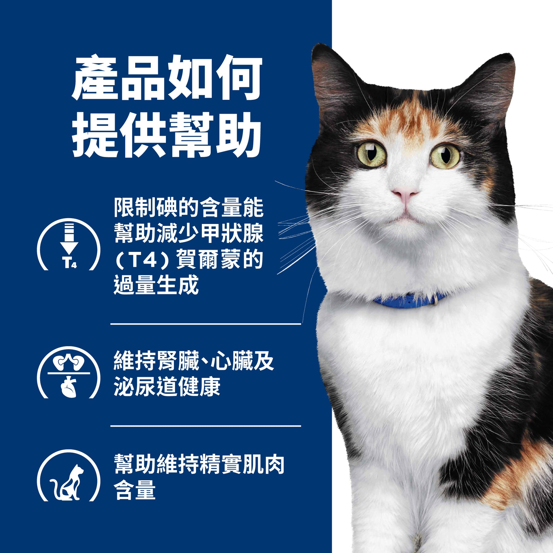 希爾思處方食品 貓用 y/d