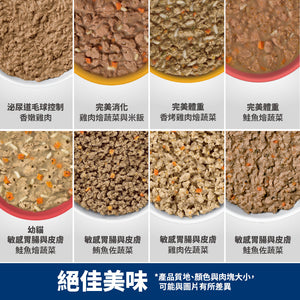 希爾思寵物食品 幼貓 敏感胃腸與皮膚 主食罐 鮭魚 [六入/盒]