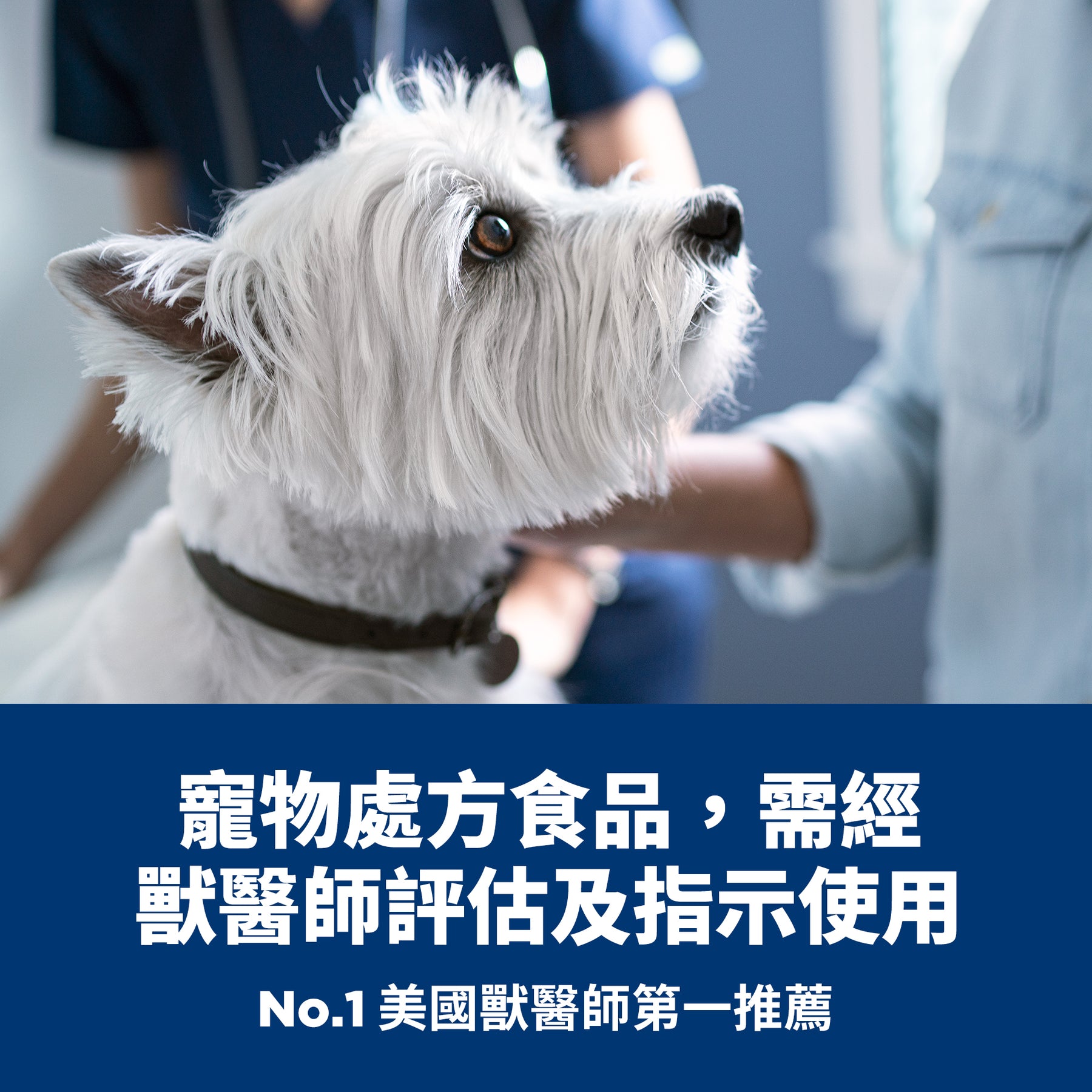 希爾思處方食品 犬用 Multi-Organ 多重照護