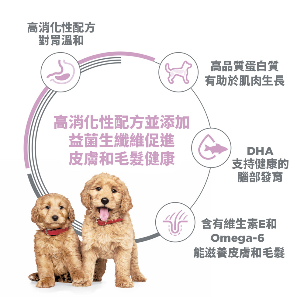希爾思寵物食品 幼犬 敏感胃腸與皮膚