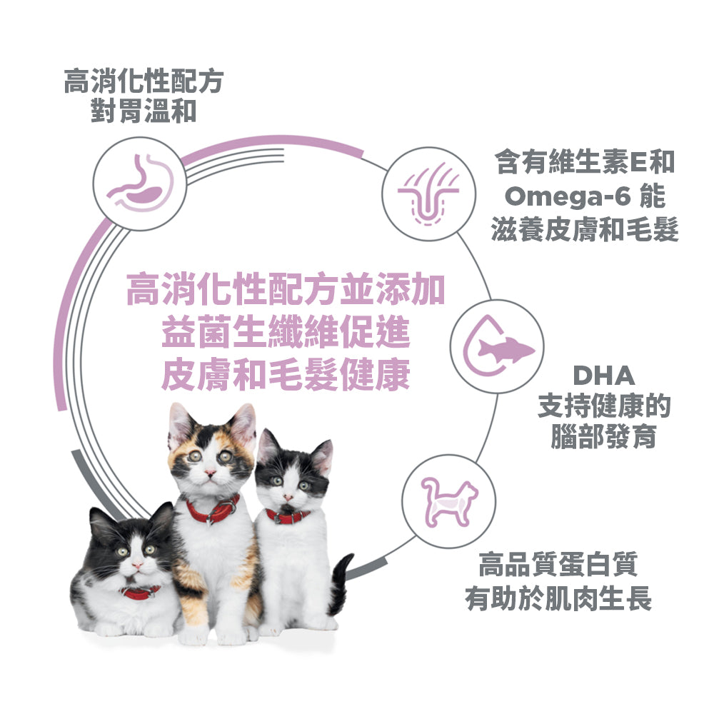 希爾思寵物食品 幼貓 敏感胃腸與皮膚