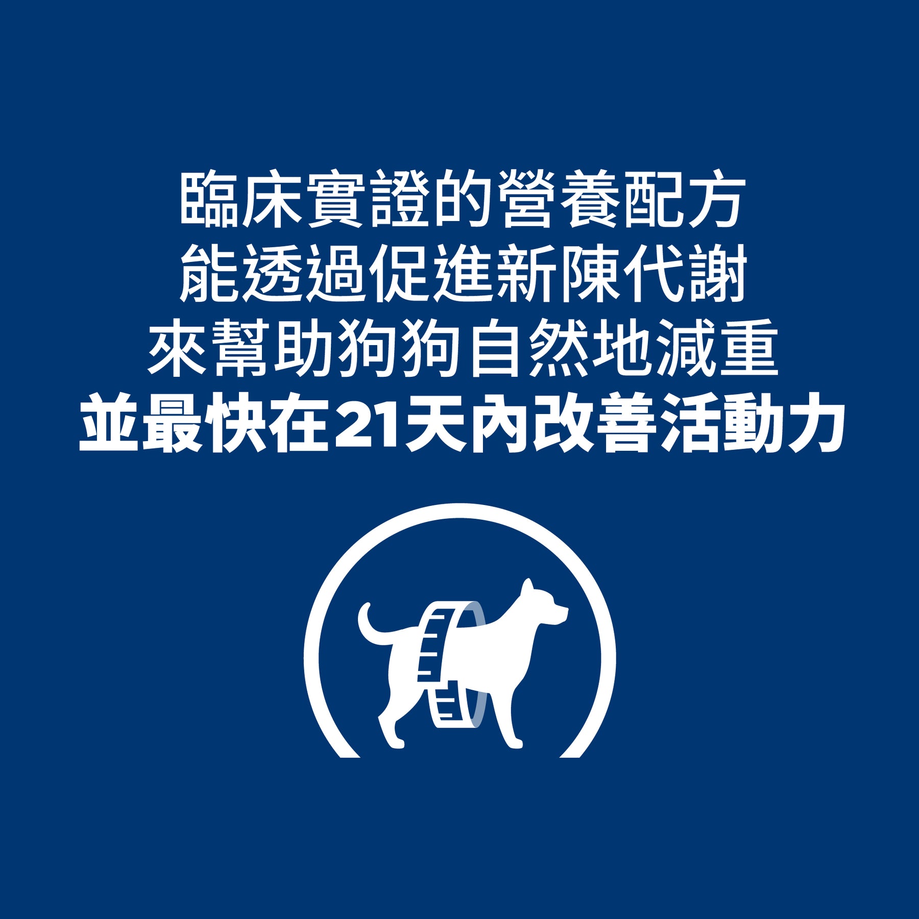 希爾思處方食品 犬用 Metabolic體重管理+j/d