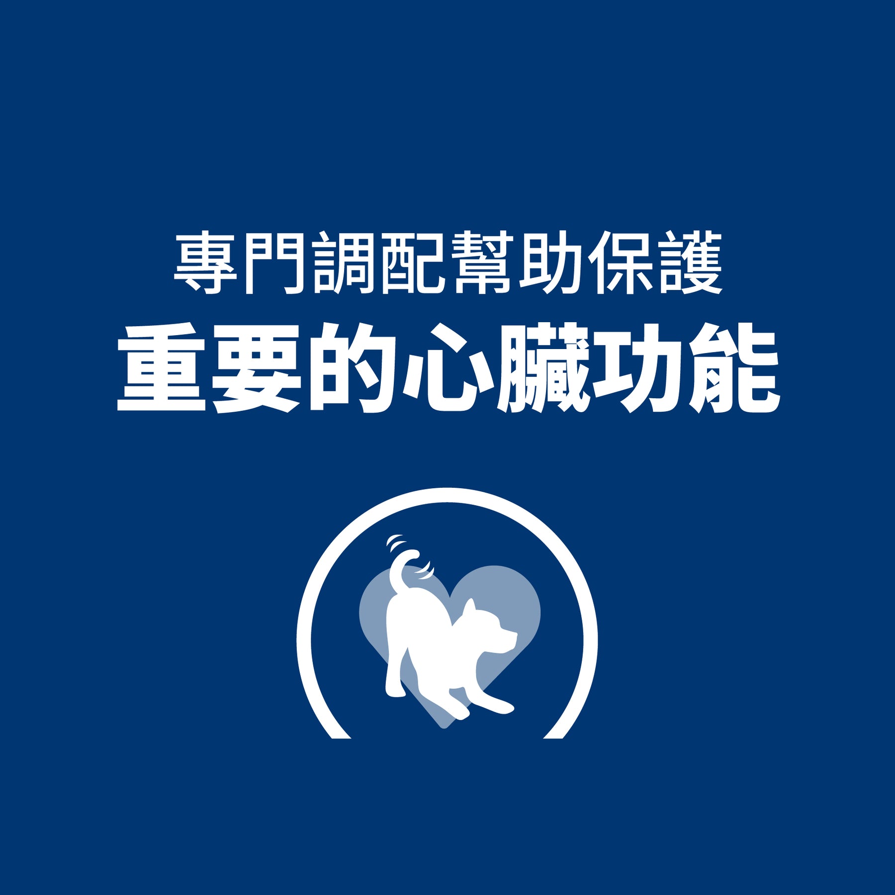 希爾思處方食品 犬用 h/d