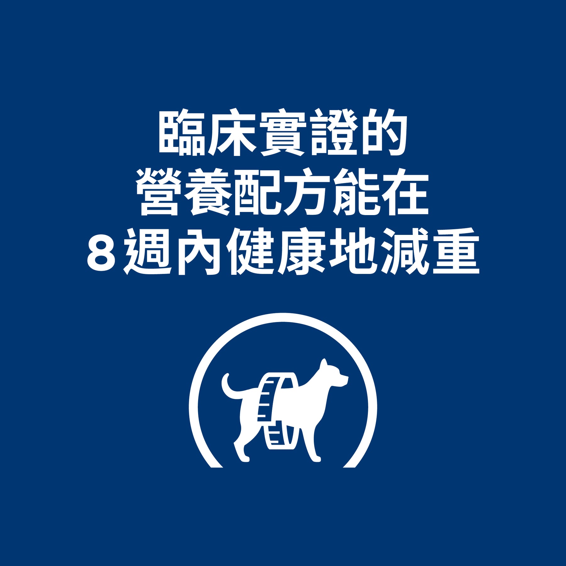 希爾思處方食品 犬用 r/d