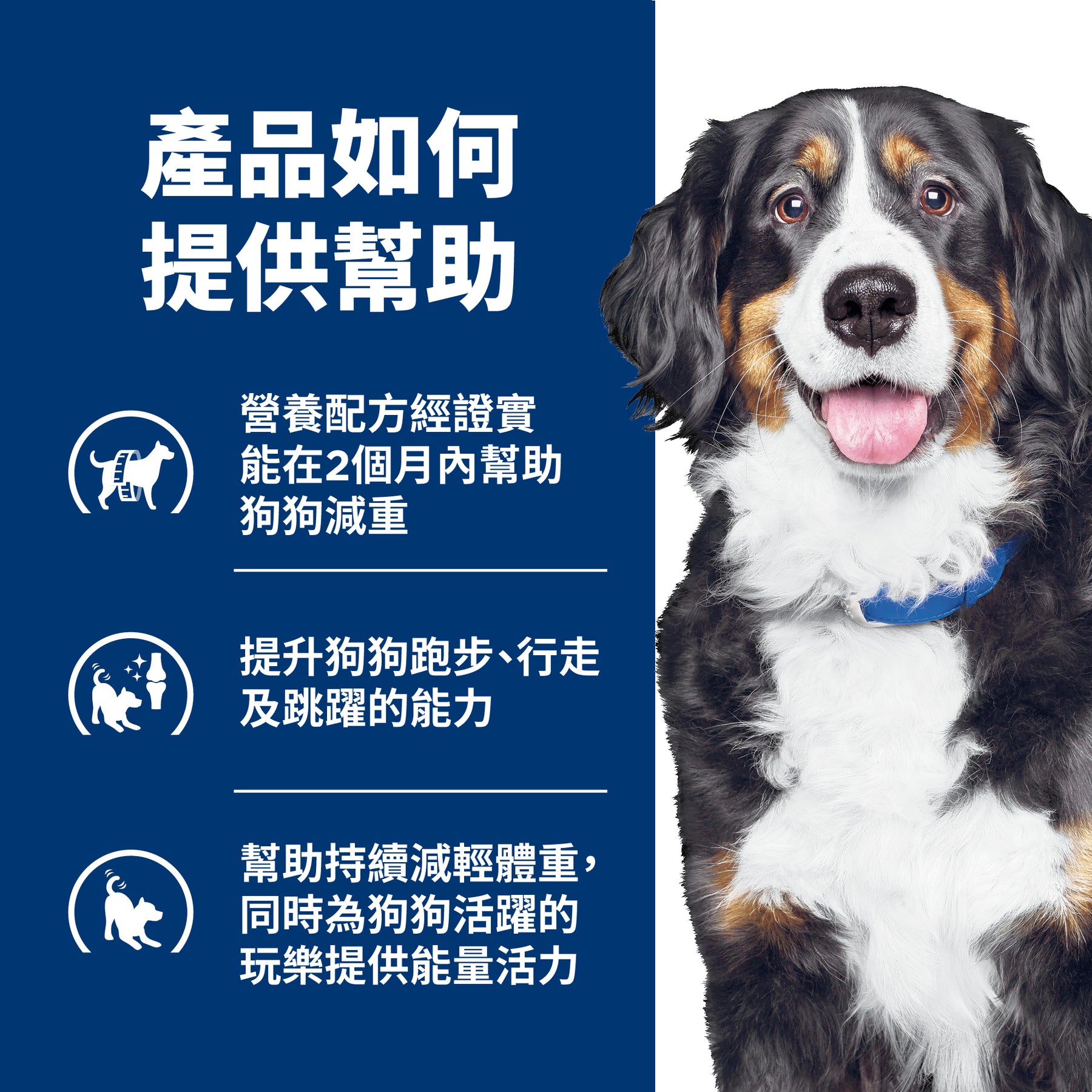 希爾思處方食品 犬用 Metabolic體重管理+j/d