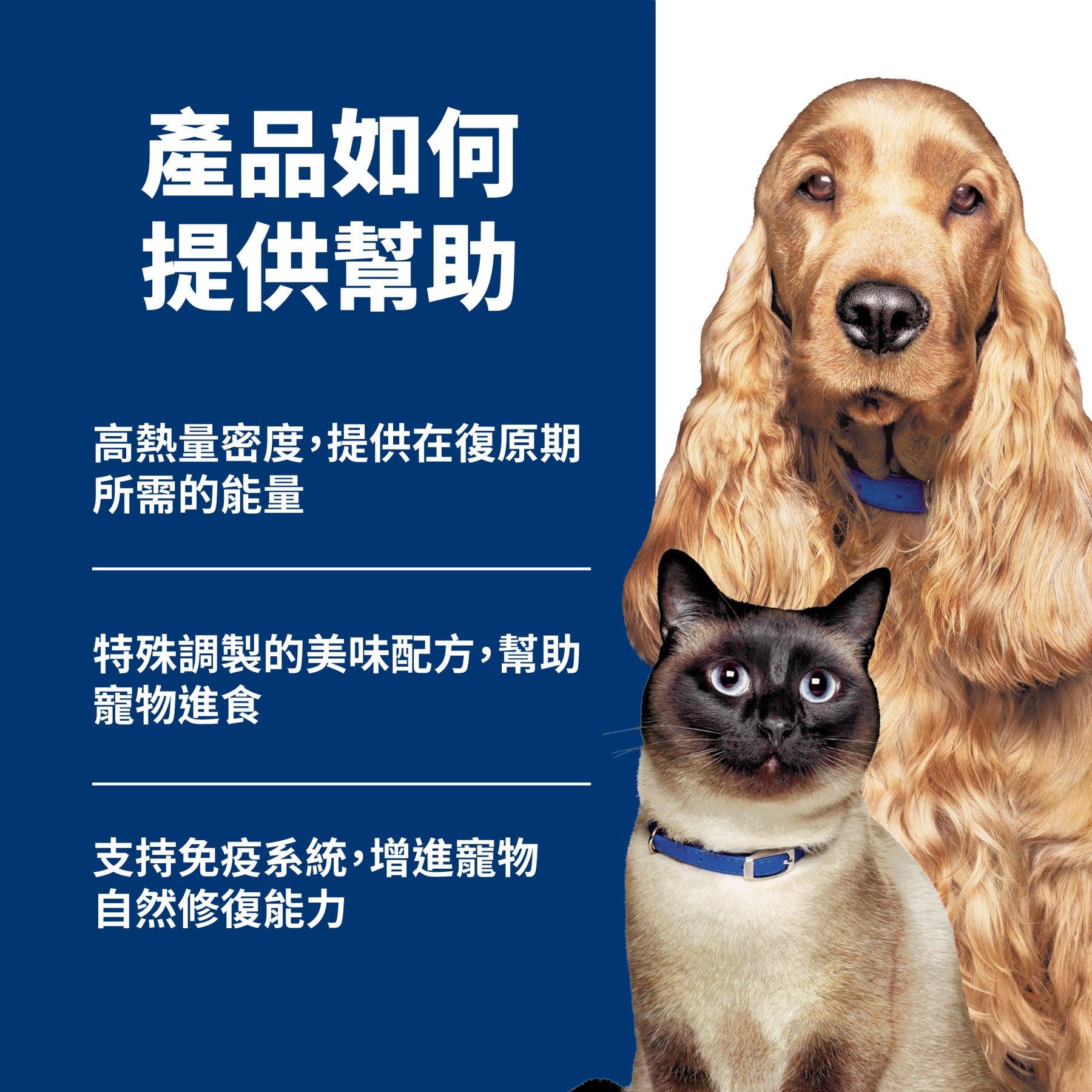 希爾思處方食品 犬貓用 a/d 雞肉罐頭 [六入/盒]