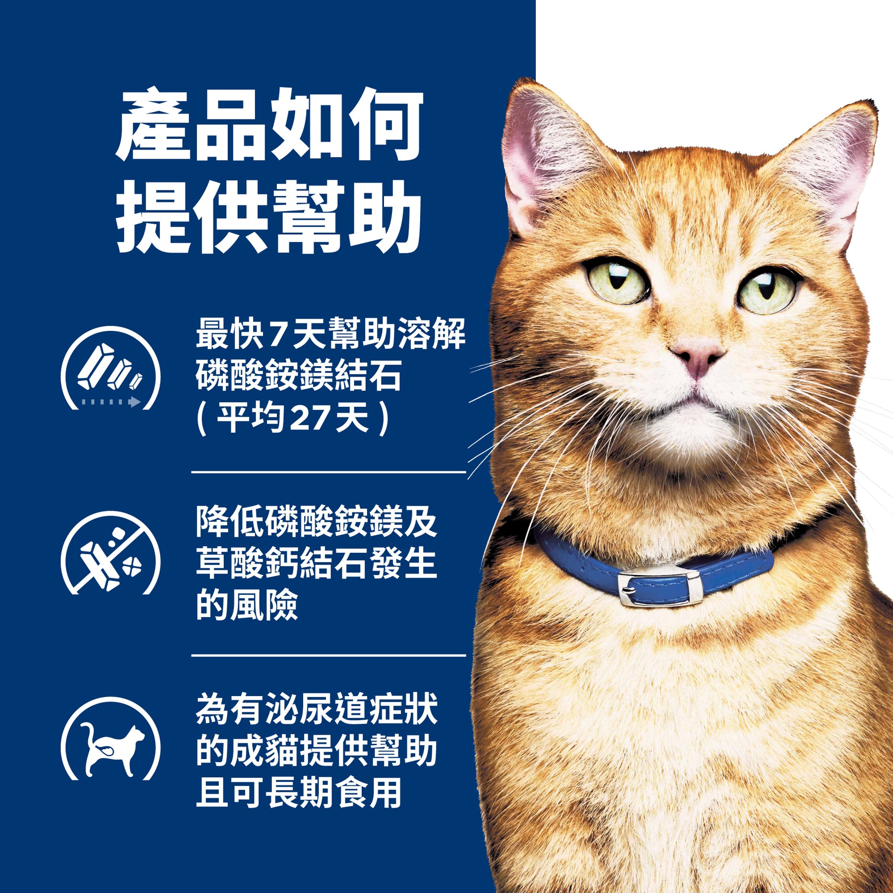 希爾思處方食品 貓用 c/d 全效 雞肉罐頭 [六入/盒]