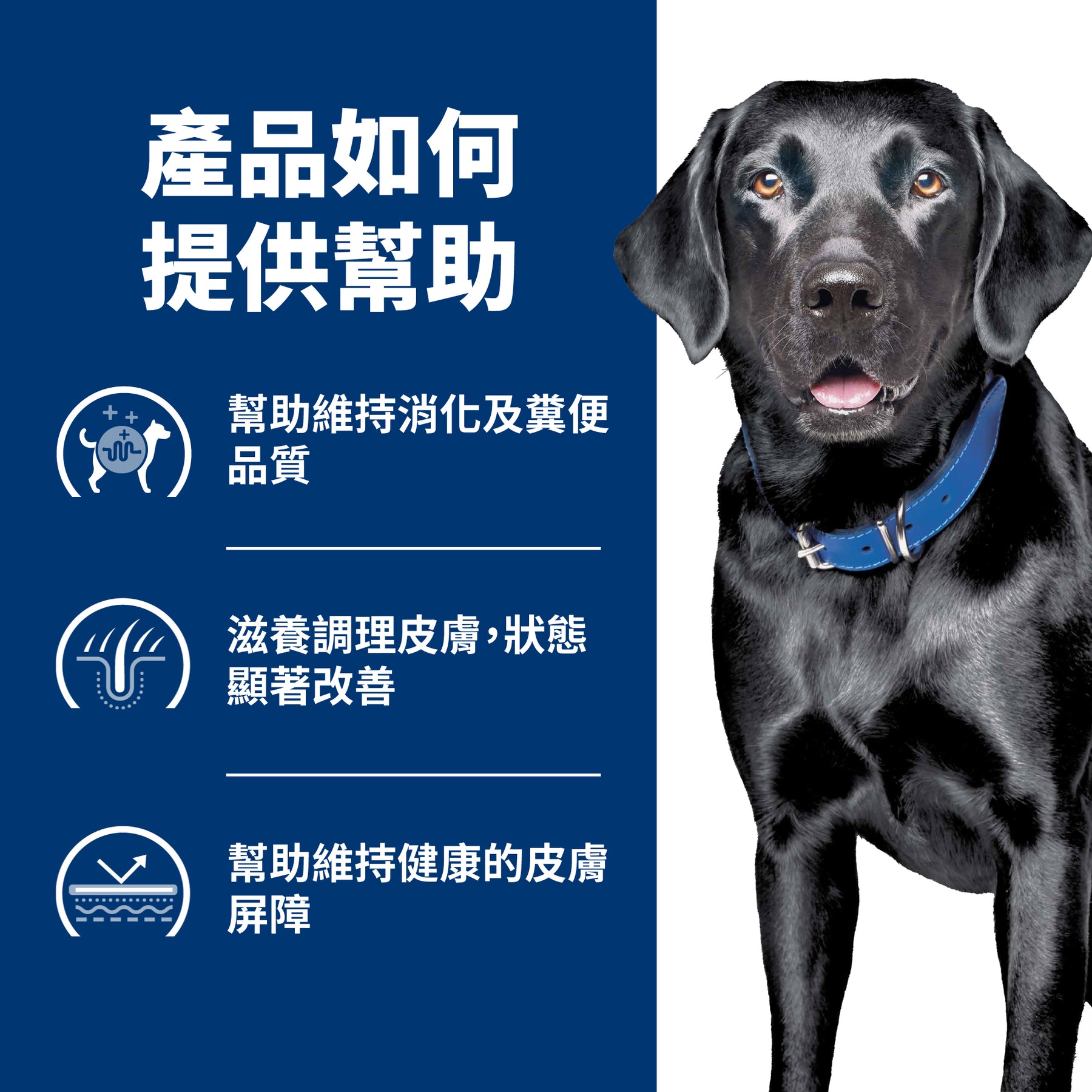 希爾思處方食品 犬用 d/d 馬鈴薯及鮭魚