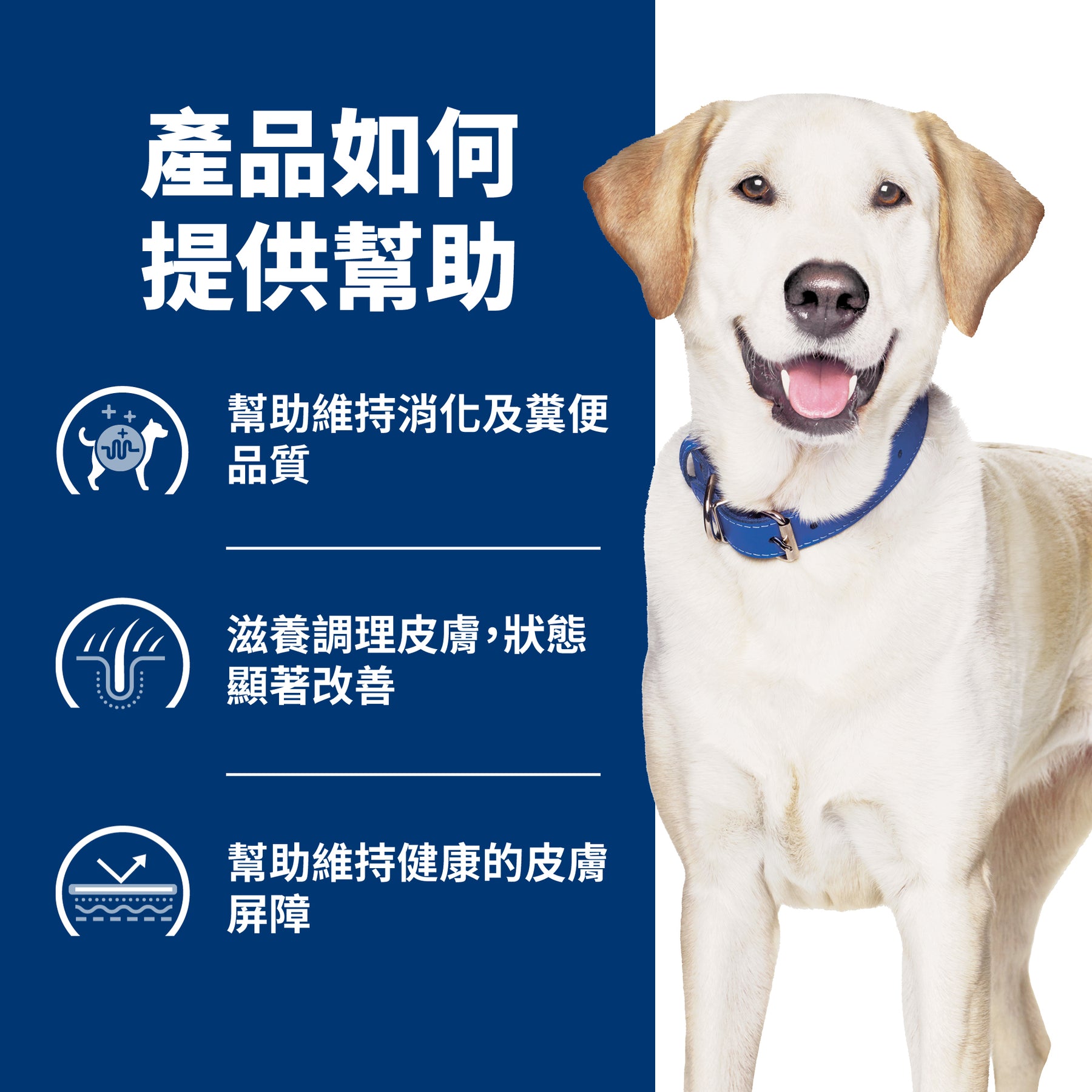 希爾思處方食品 犬用 d/d 馬鈴薯及鴨肉