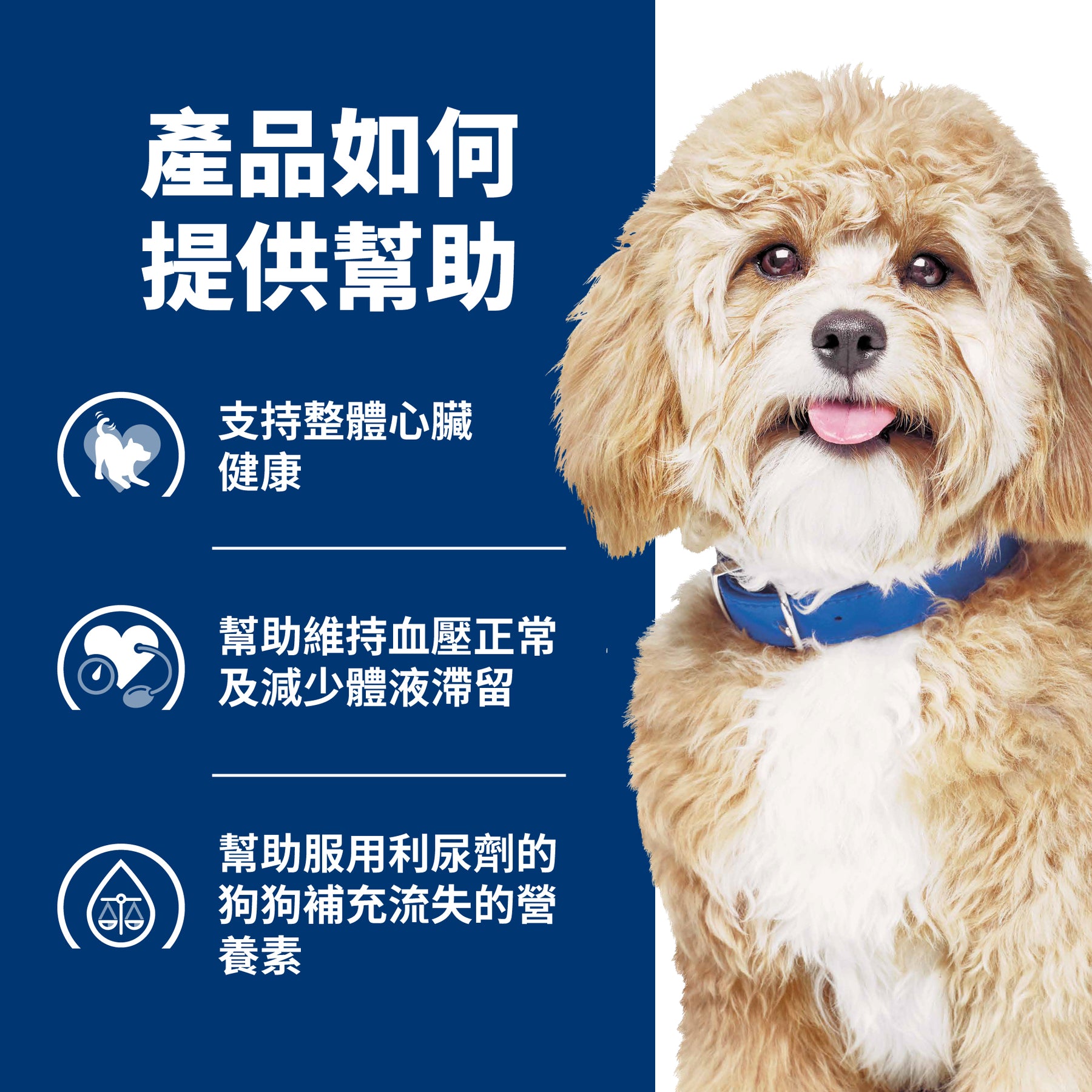 希爾思處方食品 犬用 h/d