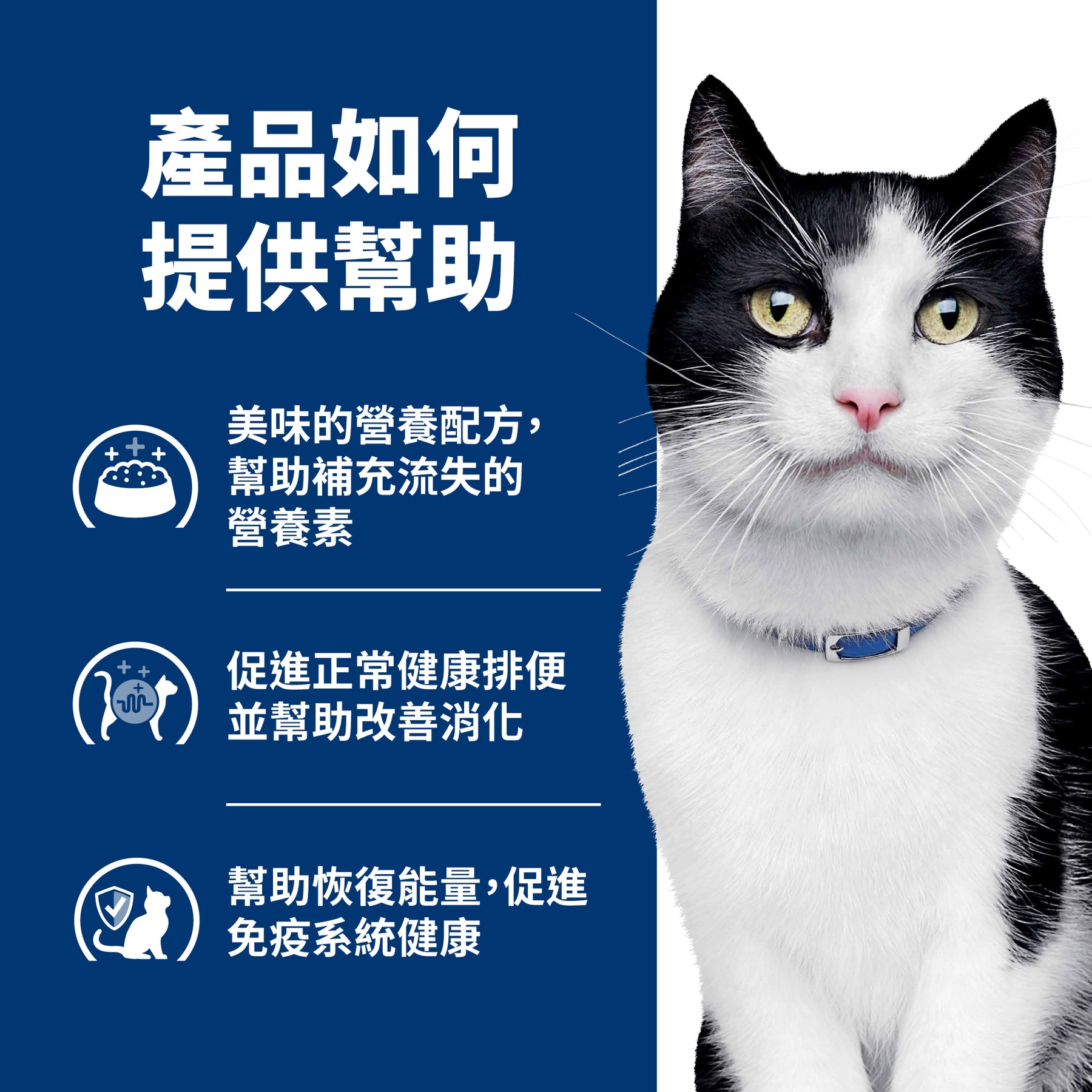 希爾思處方食品 貓用 i/d