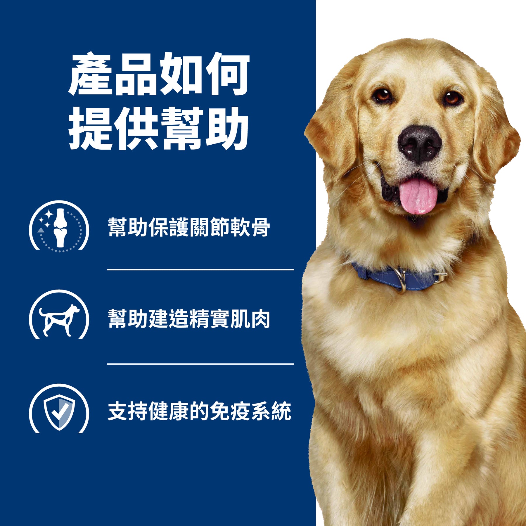 希爾思處方食品 犬用 j/d 原顆粒