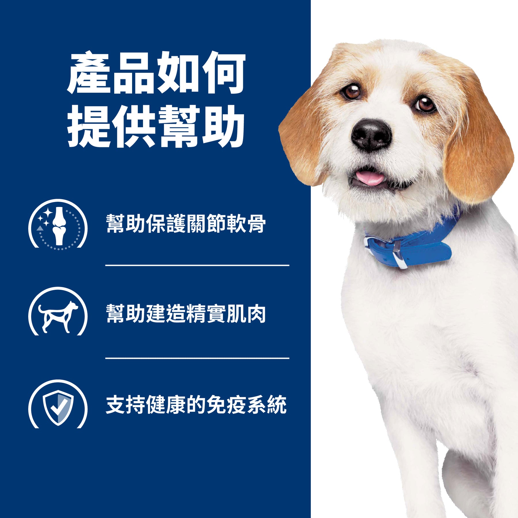 希爾思處方食品 犬用 j/d 小顆粒