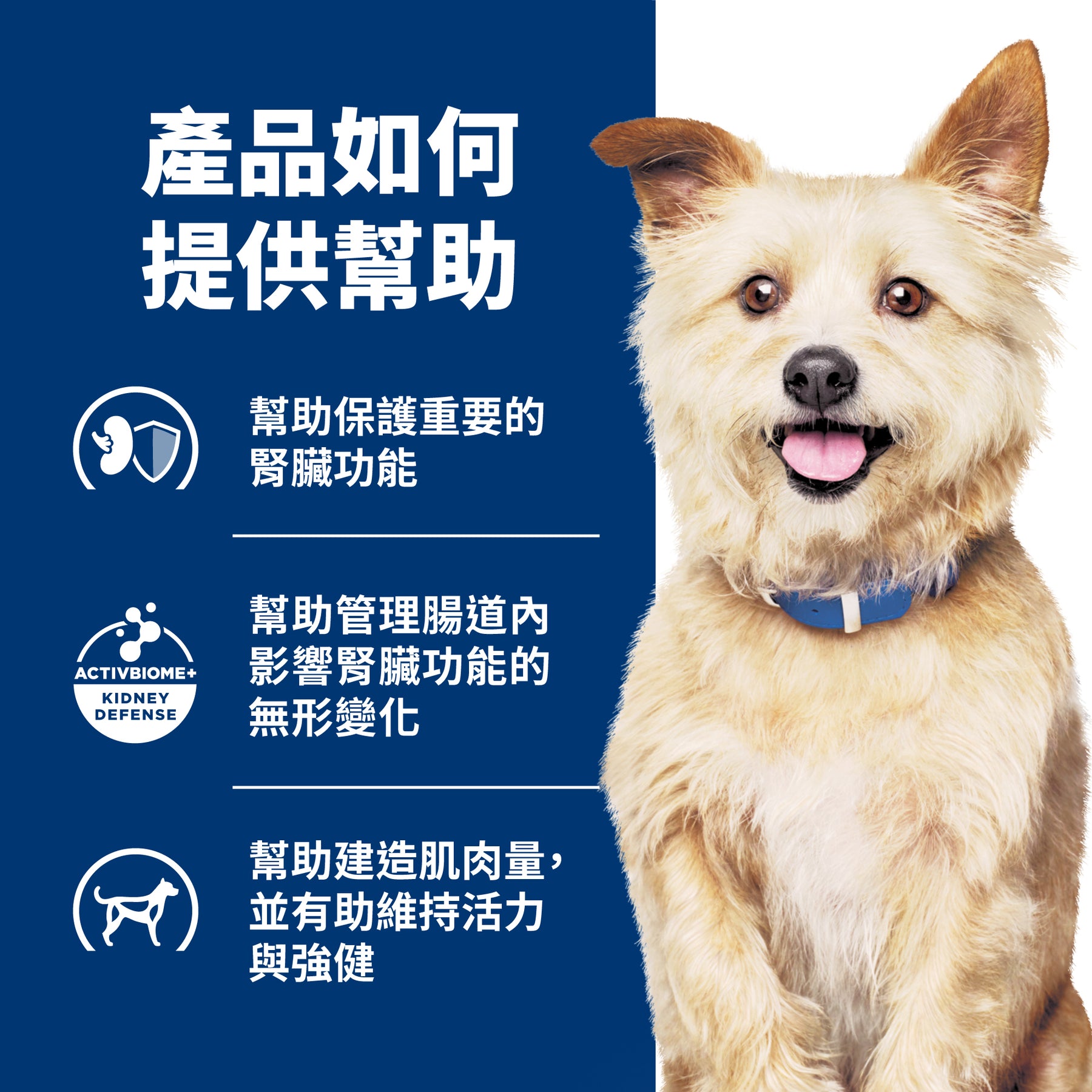 希爾思處方食品 犬用 k/d