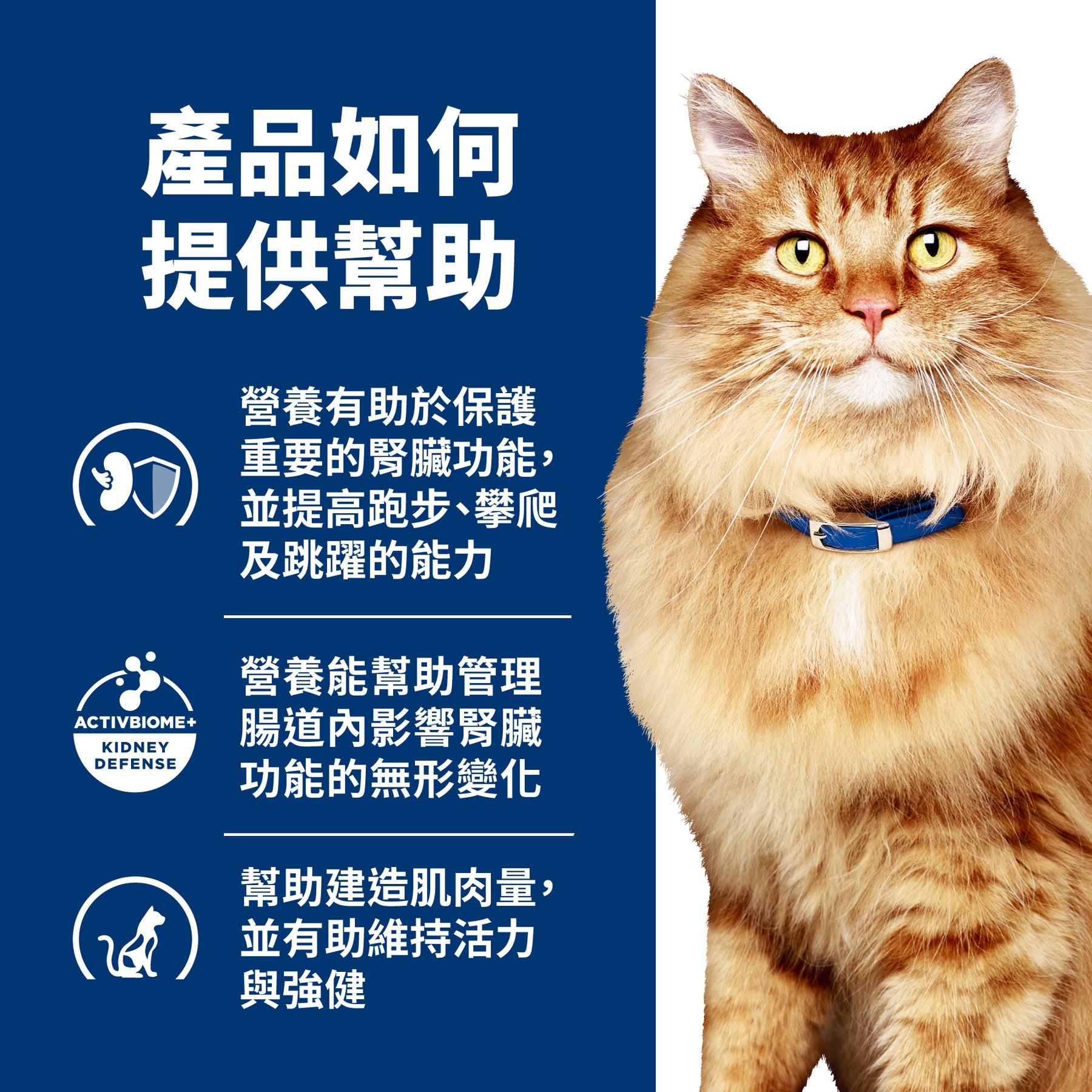 希爾思處方食品 貓用 k/d+j/d