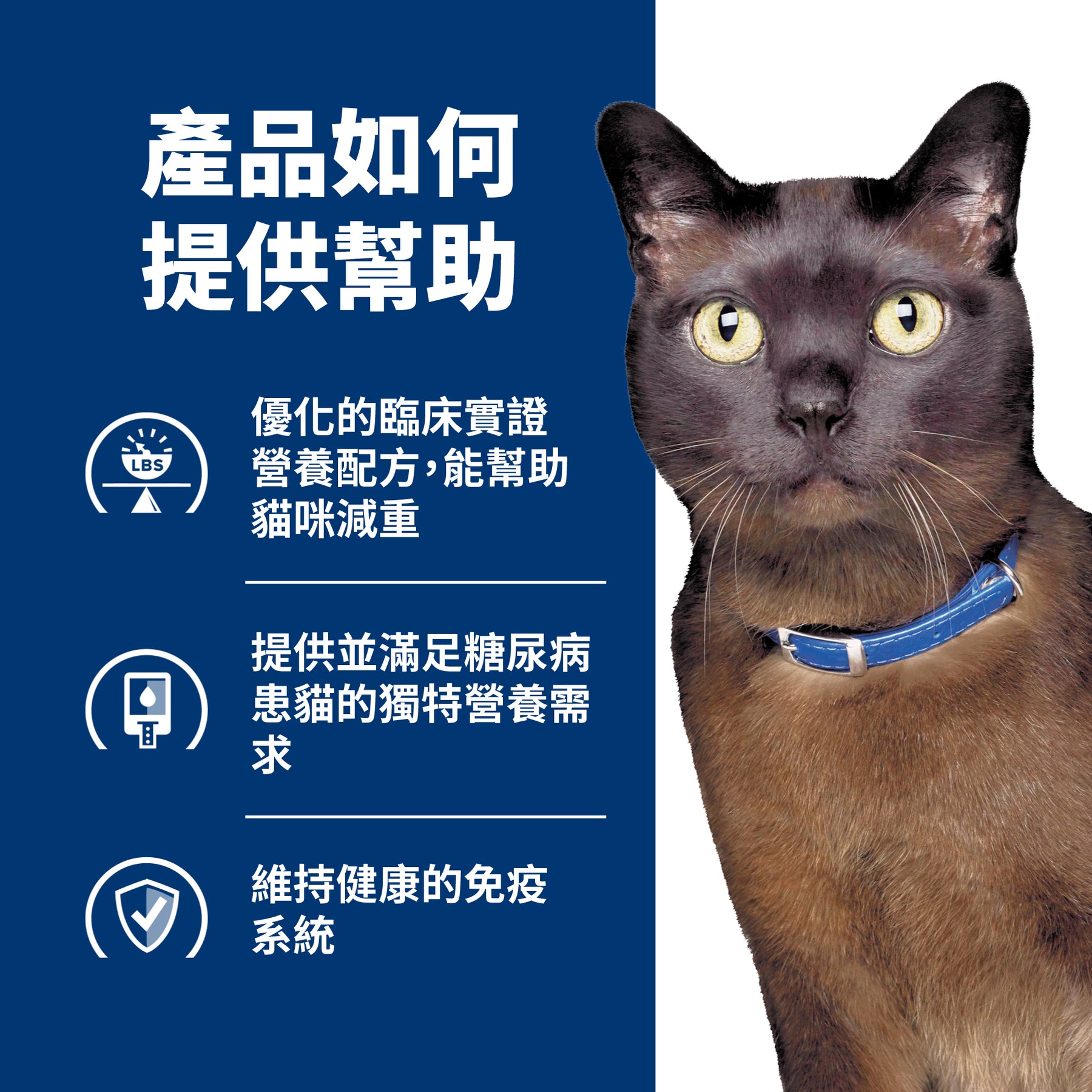 希爾思處方食品 貓用 m/d