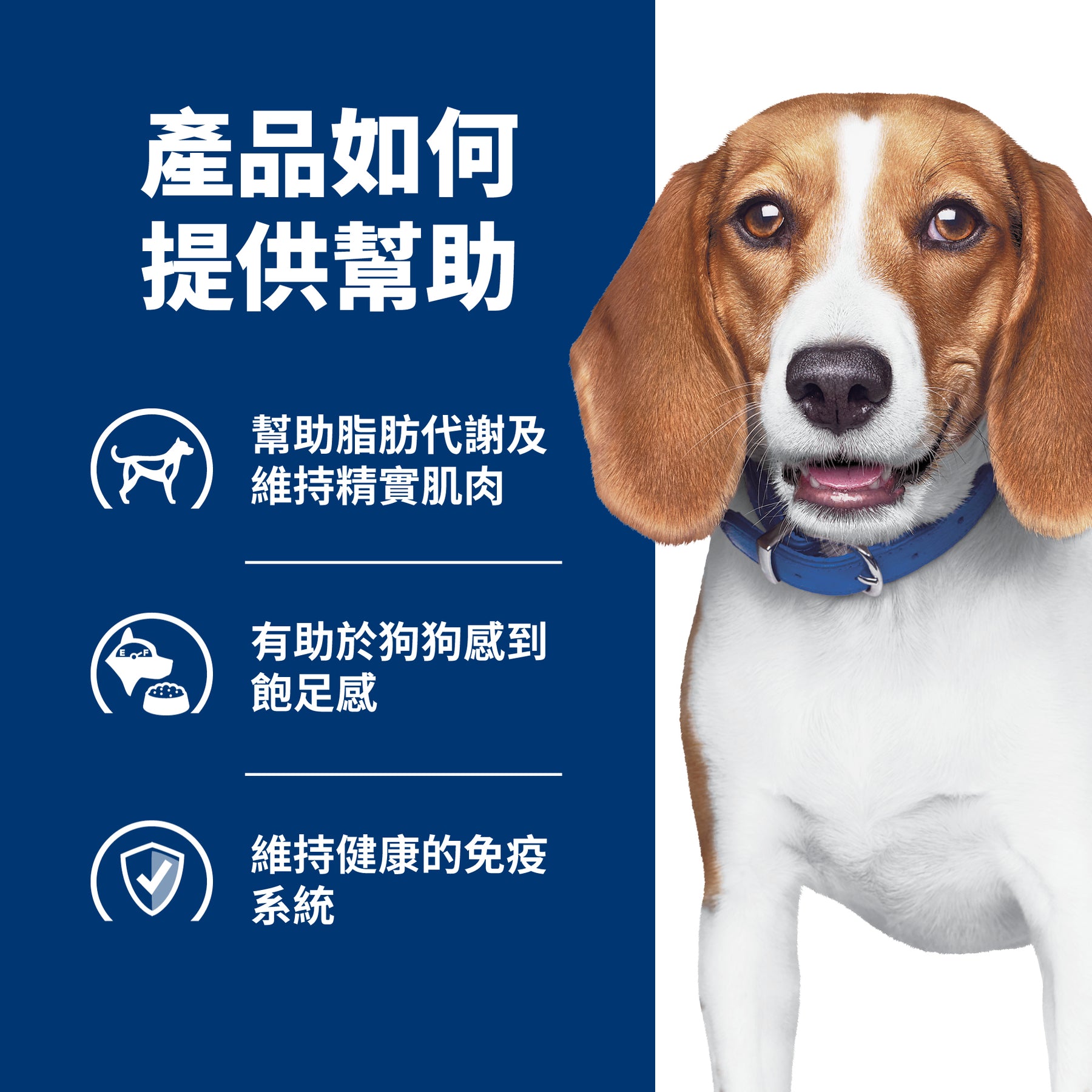 希爾思處方食品 犬用 r/d