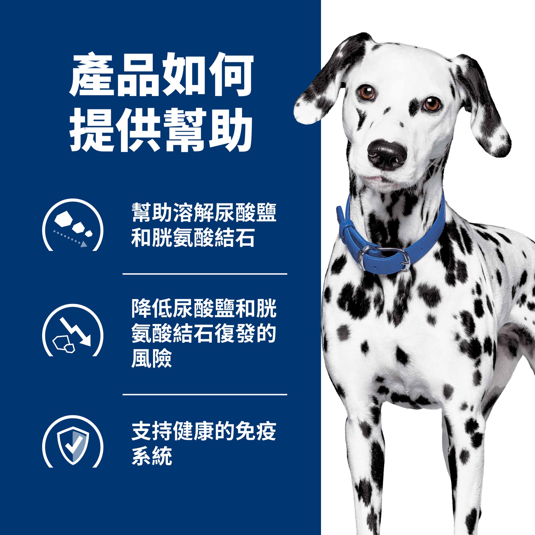 希爾思處方食品 犬用 u/d
