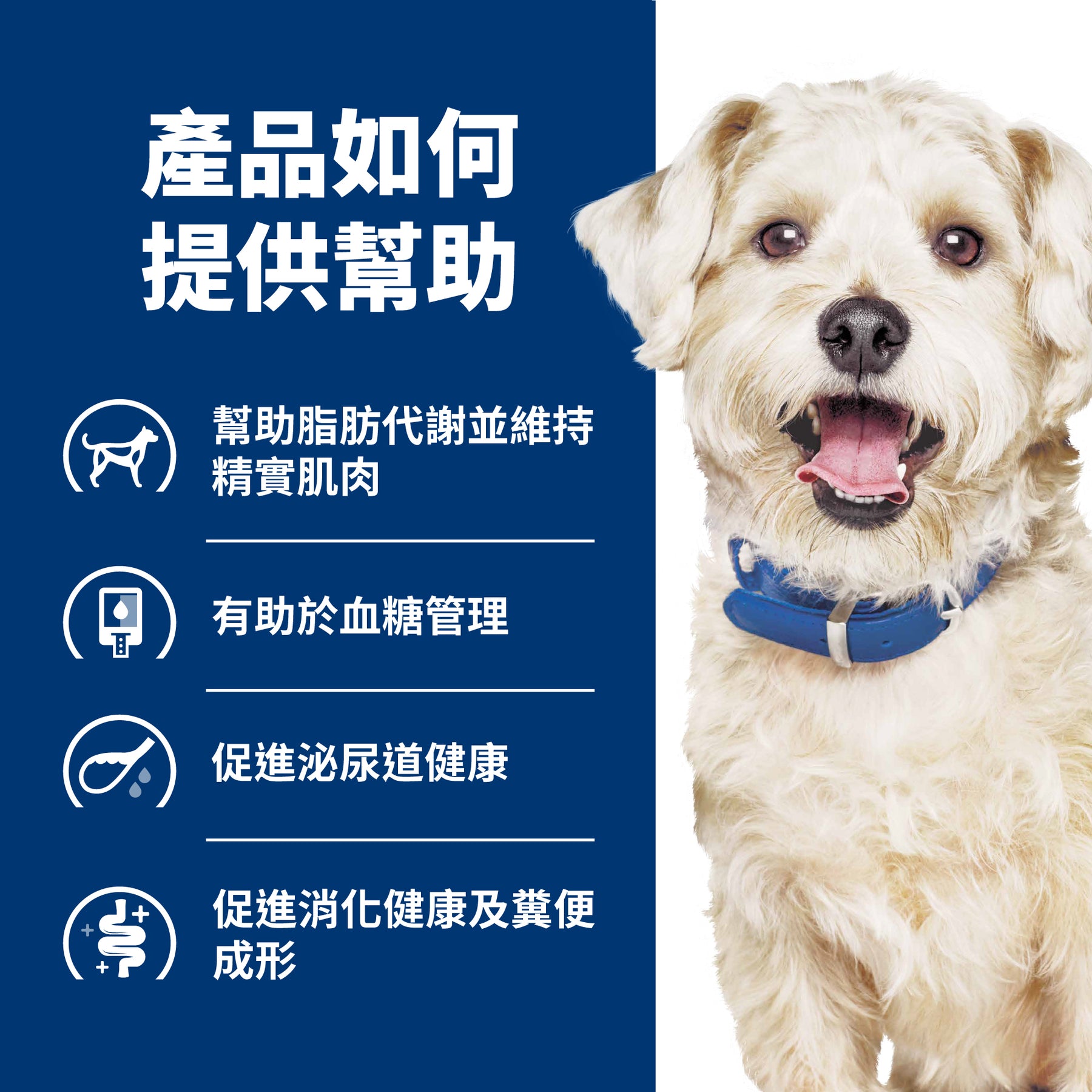 希爾思處方食品 犬用 w/d