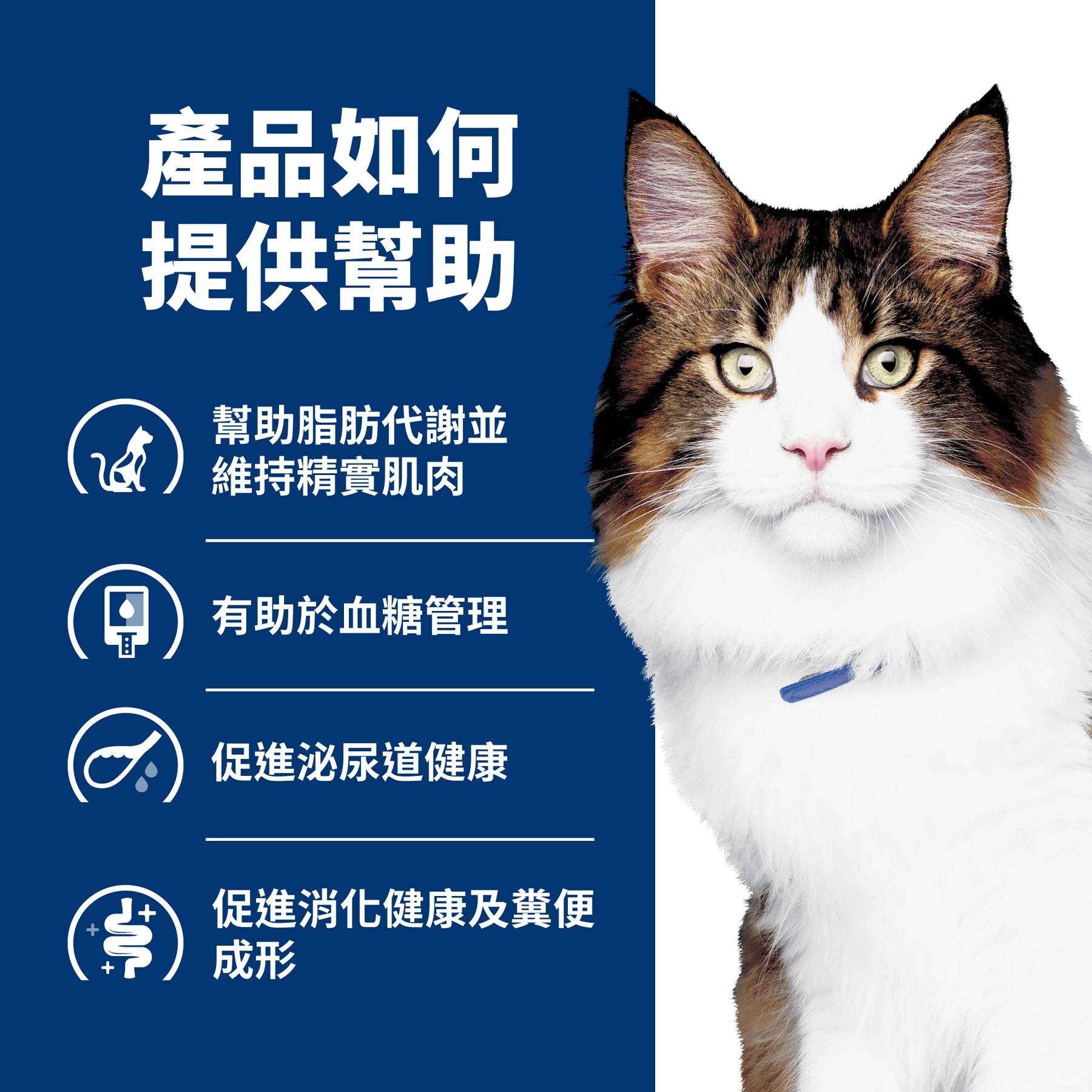 希爾思處方食品 貓用 w/d