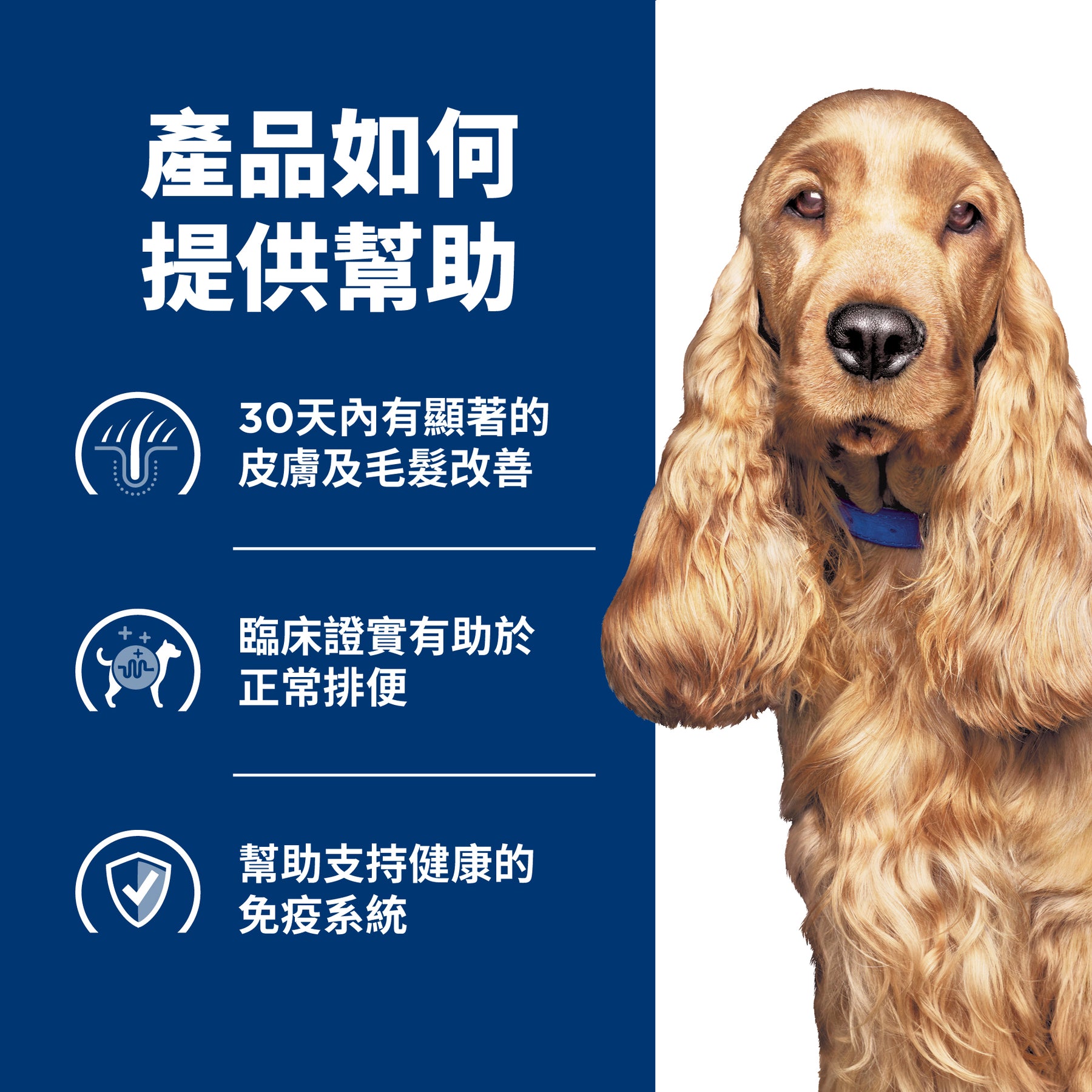 希爾思處方食品 犬用 z/d 原顆粒