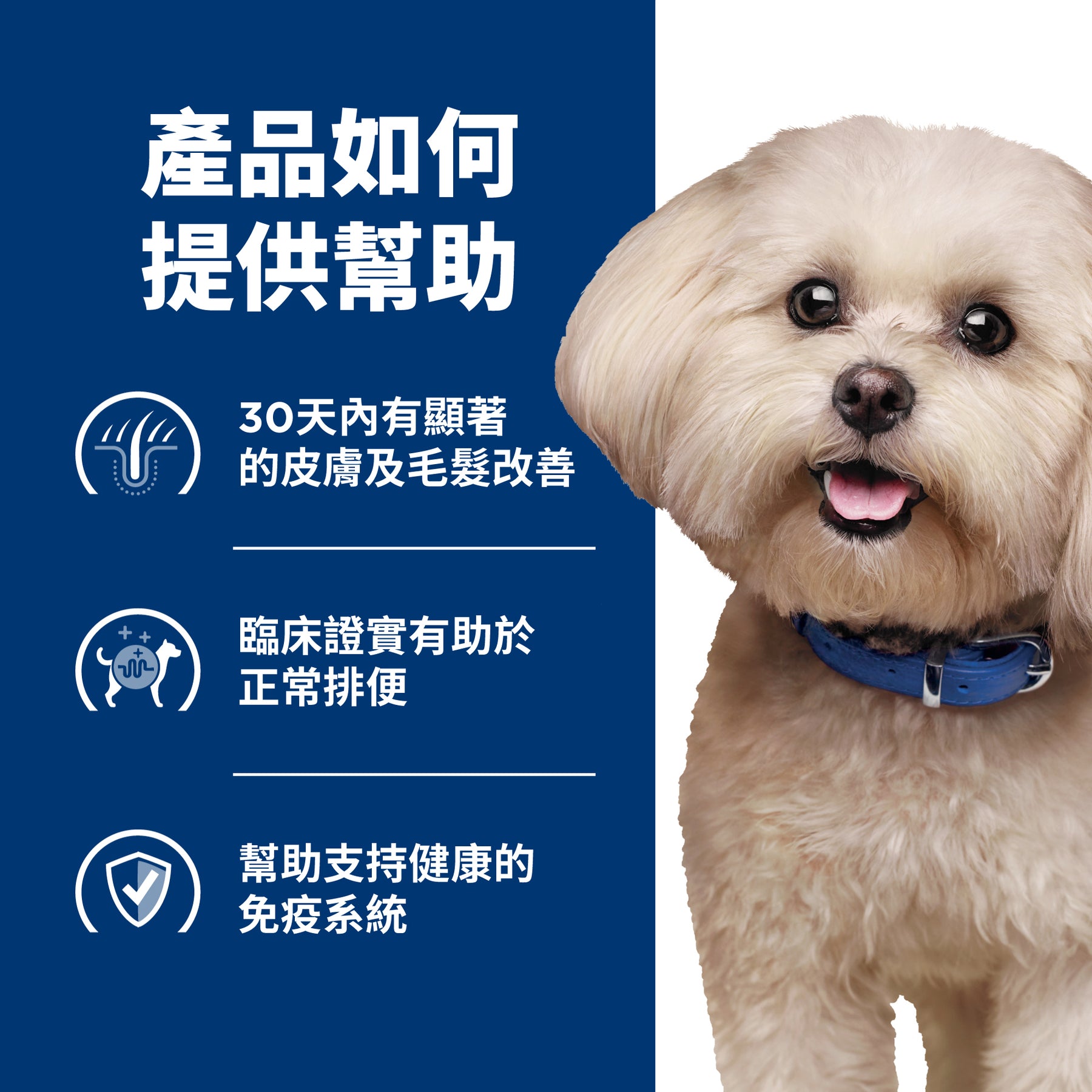 希爾思處方食品 犬用 z/d 小顆粒