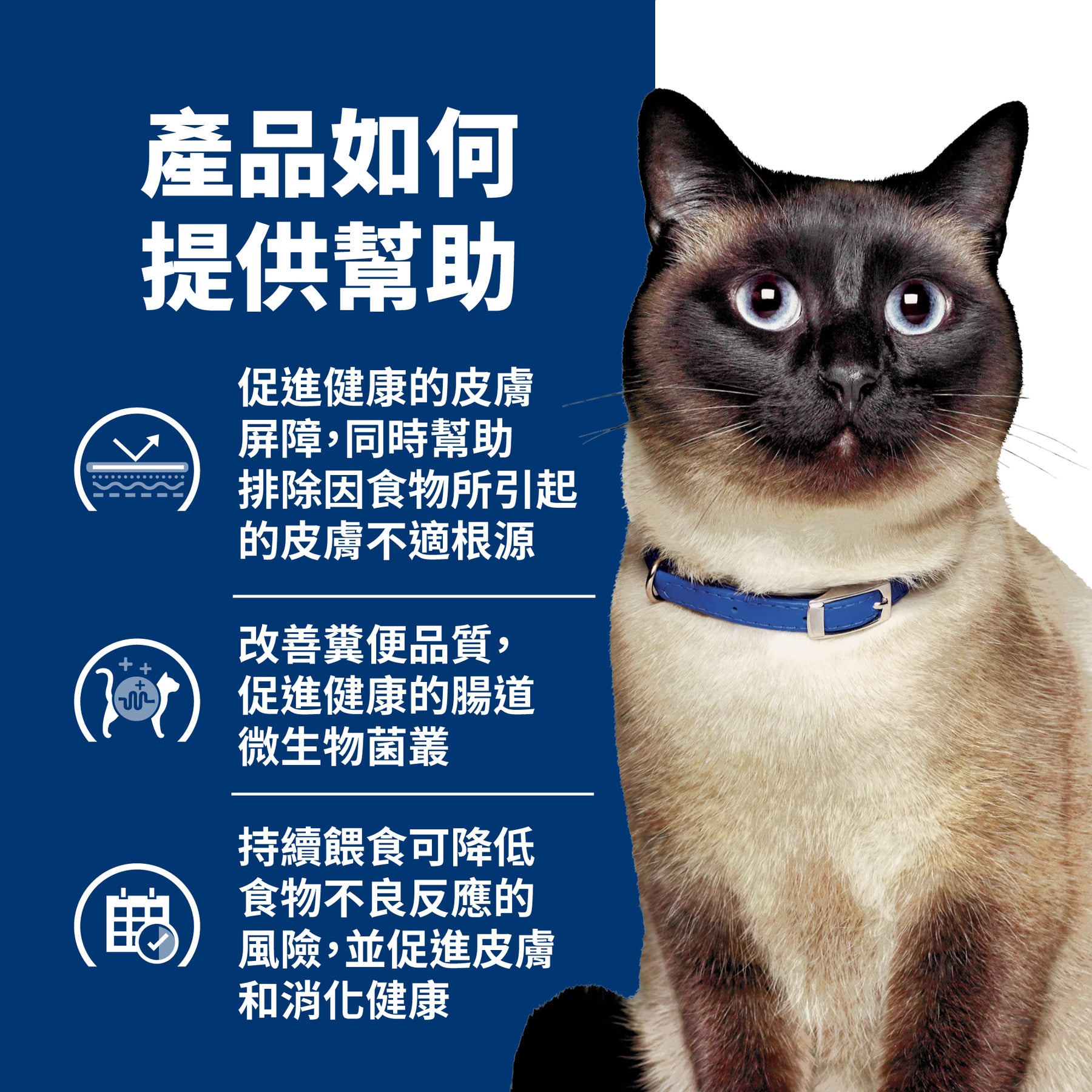 希爾思處方食品 貓用 z/d