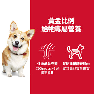 希爾思寵物食品 成犬 小顆粒 羊肉食譜