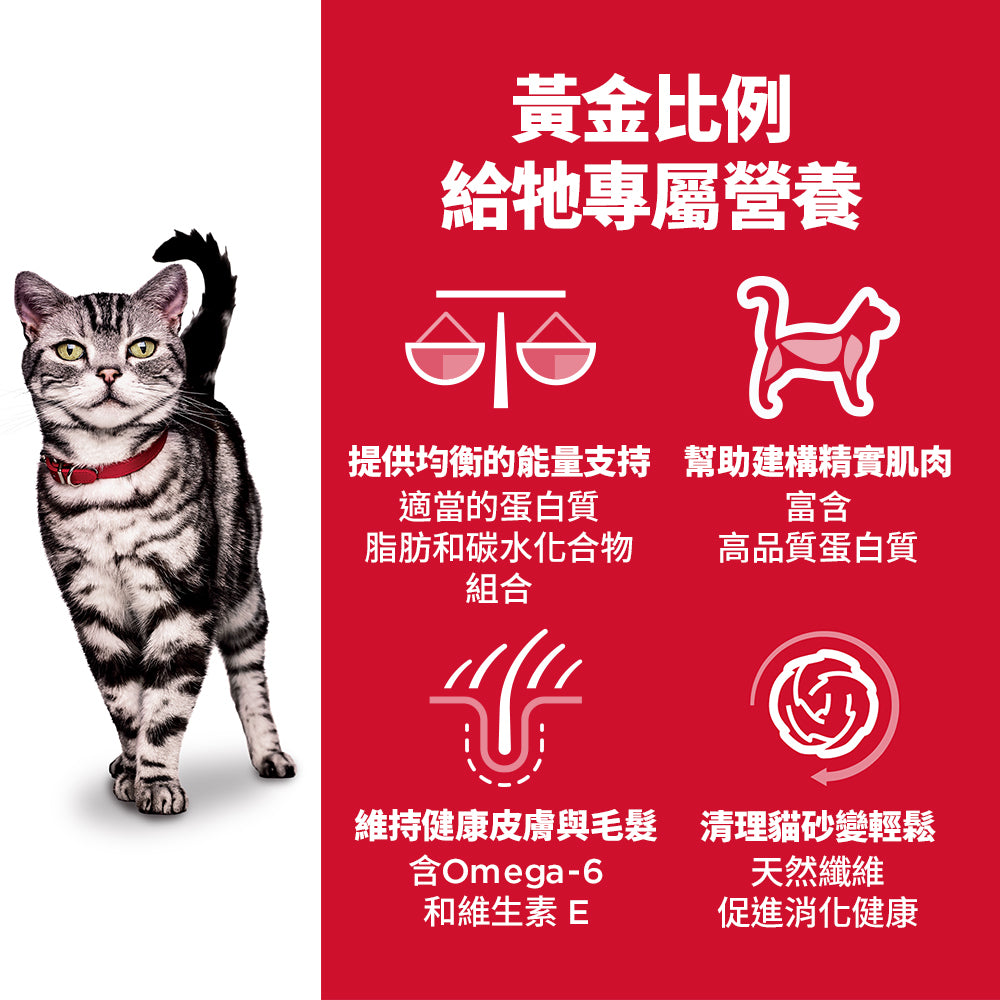希爾思寵物食品 室內成貓